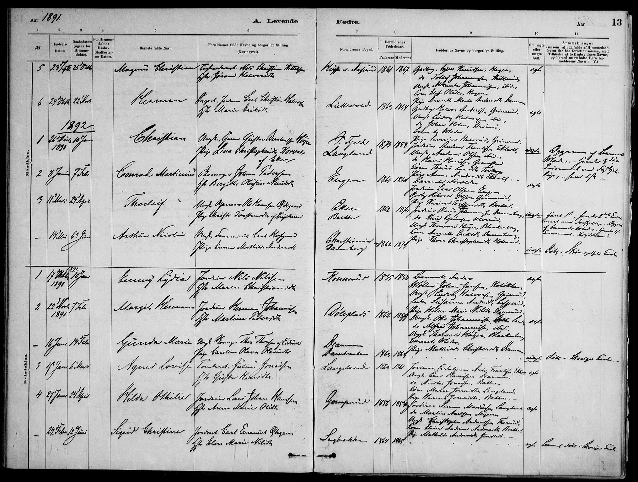 Skoger kirkebøker, SAKO/A-59/F/Fb/L0001: Parish register (official) no. II 1, 1885-1913, p. 13