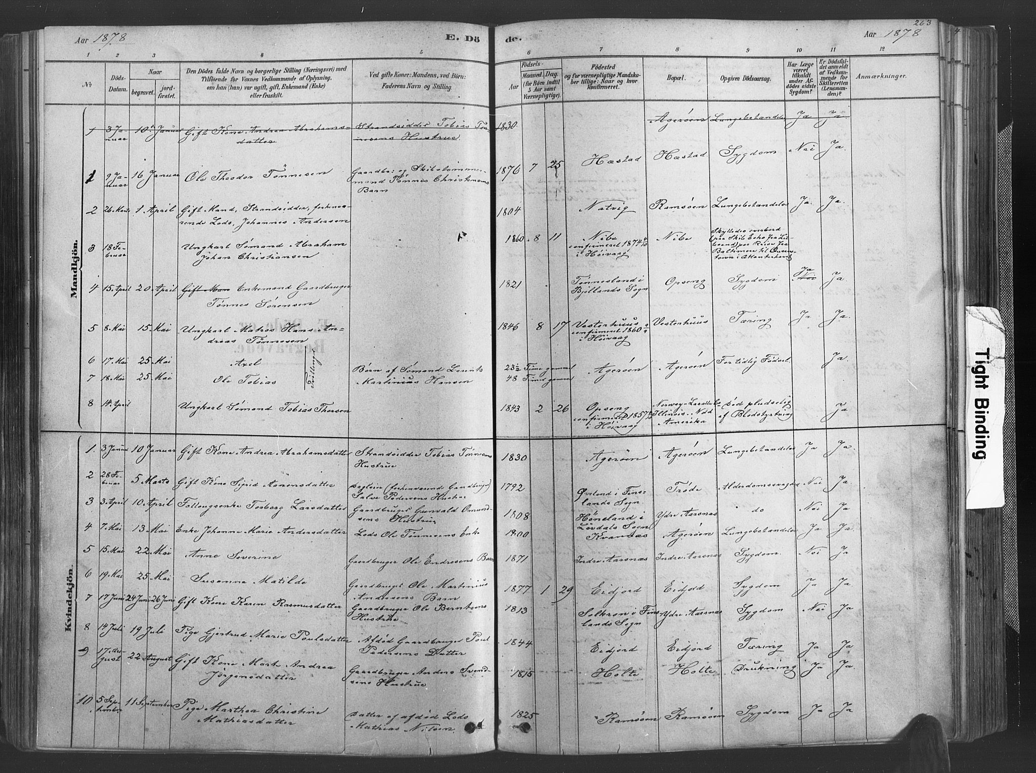 Høvåg sokneprestkontor, SAK/1111-0025/F/Fa/L0005: Parish register (official) no. A 5, 1878-1893, p. 263