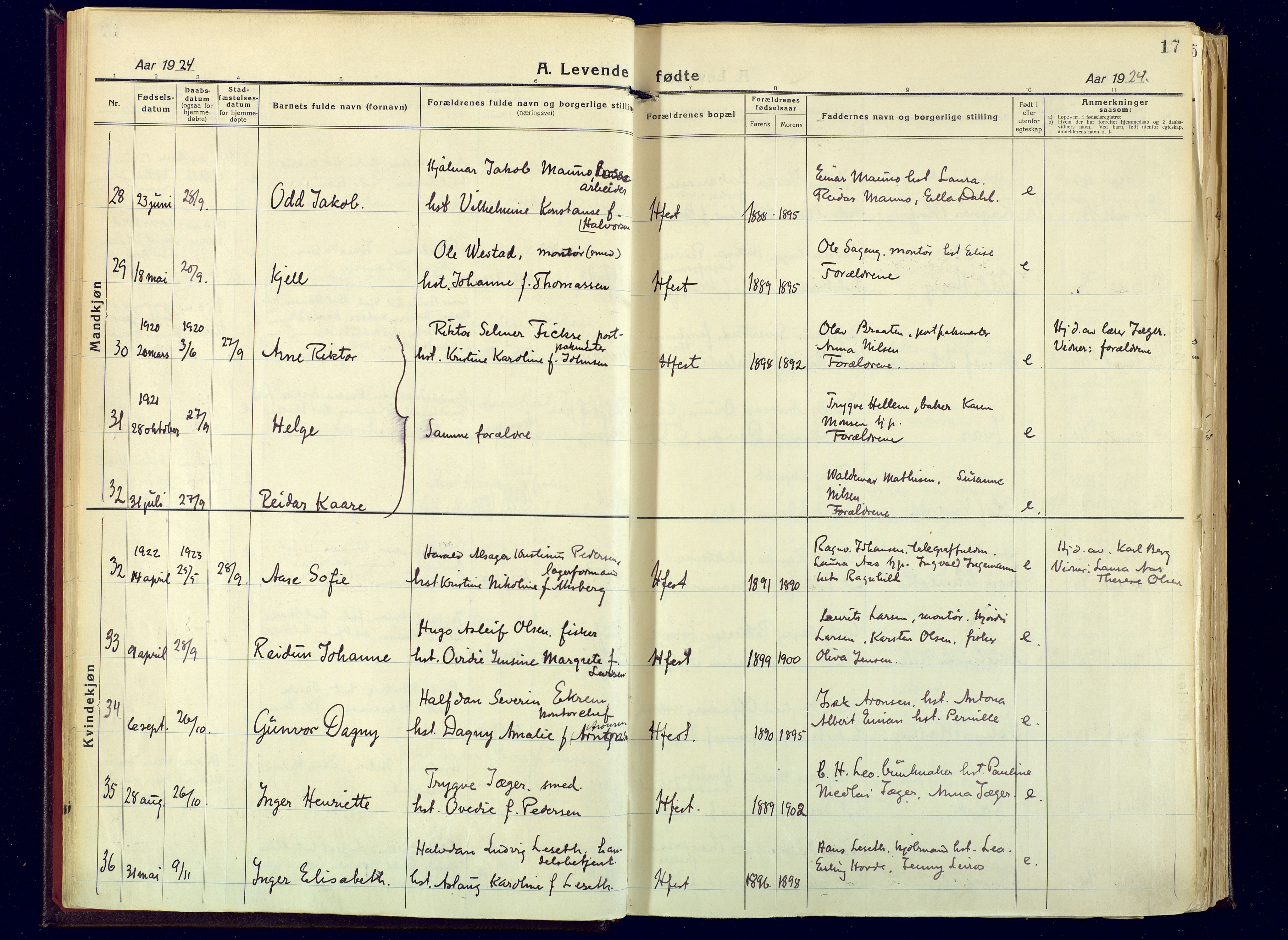 Hammerfest sokneprestkontor, AV/SATØ-S-1347/H/Ha/L0017.kirke: Parish register (official) no. 17, 1923-1933, p. 17