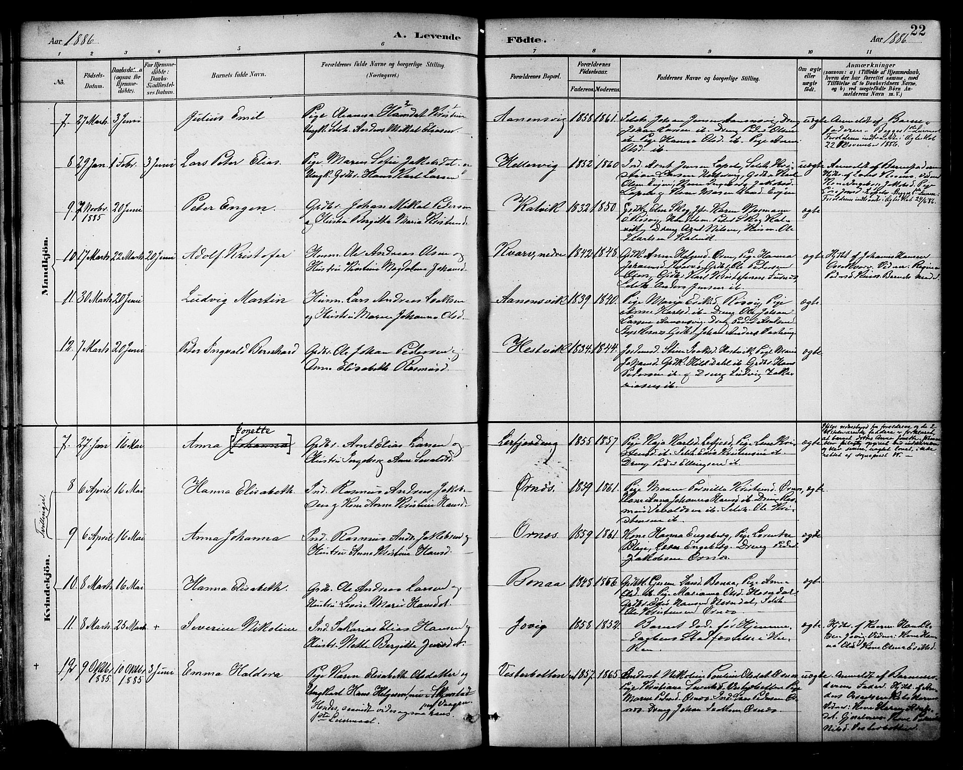 Ministerialprotokoller, klokkerbøker og fødselsregistre - Nordland, SAT/A-1459/854/L0777: Parish register (official) no. 854A01 /1, 1883-1891, p. 22