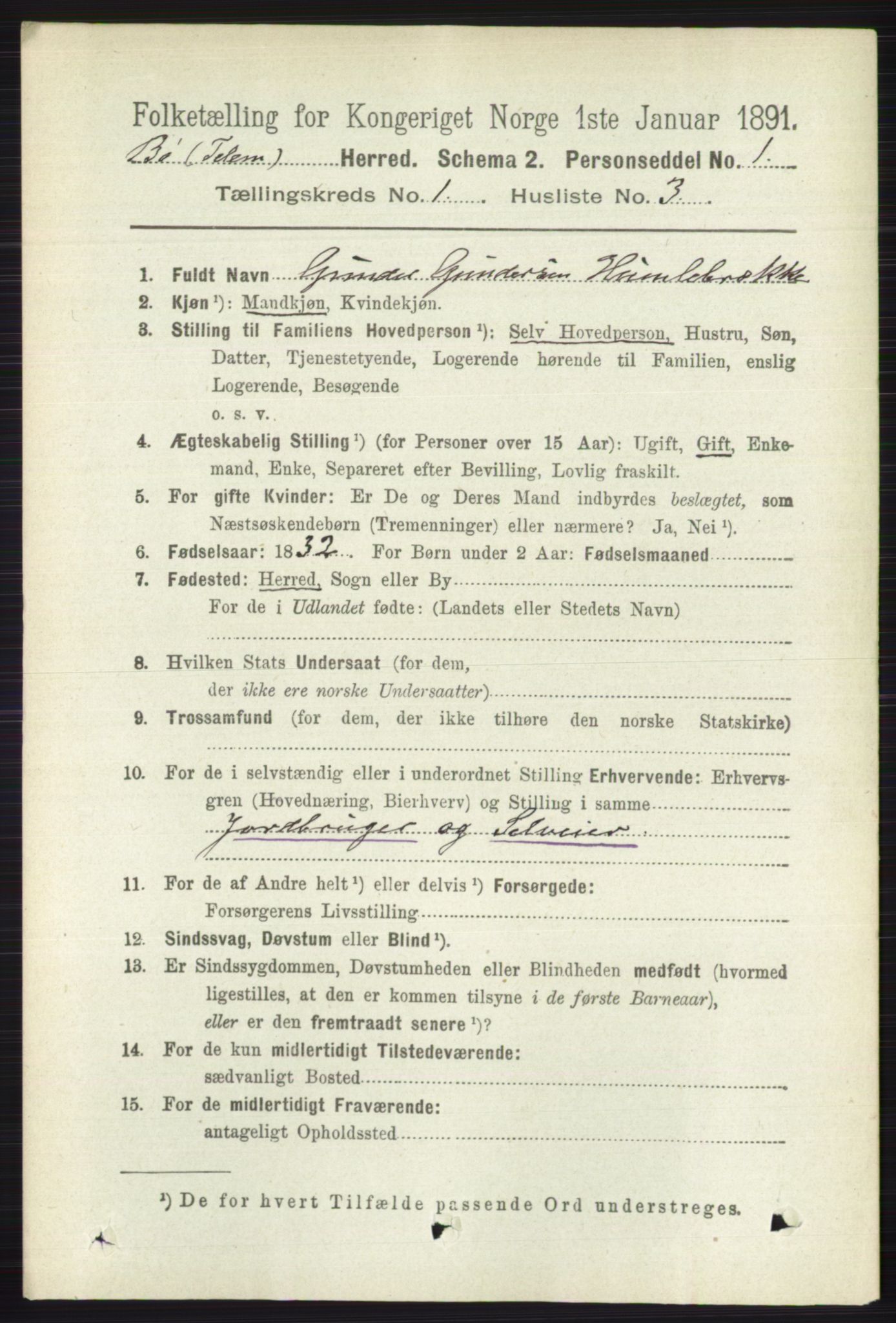 RA, 1891 census for 0821 Bø, 1891, p. 133