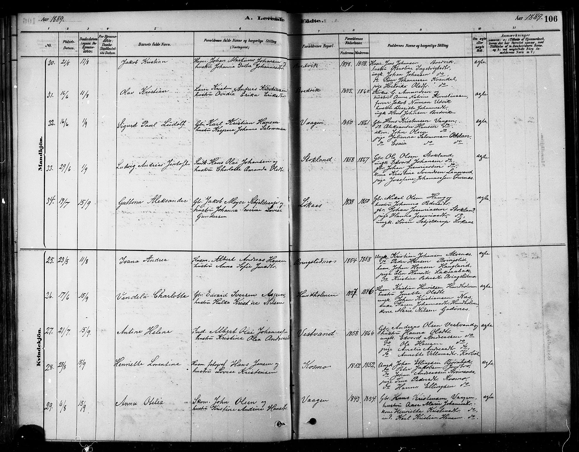 Ministerialprotokoller, klokkerbøker og fødselsregistre - Nordland, SAT/A-1459/852/L0740: Parish register (official) no. 852A10, 1878-1894, p. 106