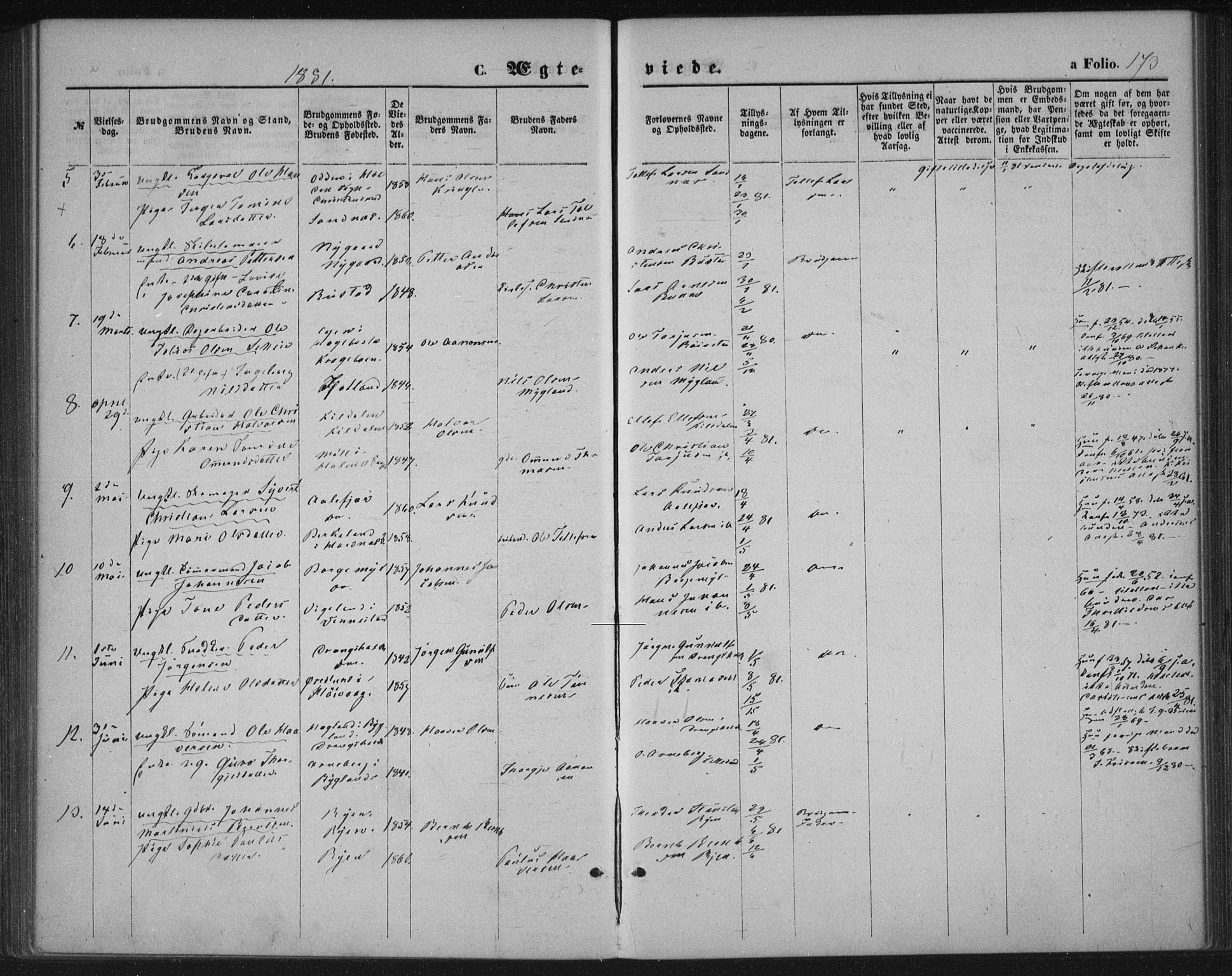 Tveit sokneprestkontor, AV/SAK-1111-0043/F/Fa/L0006: Parish register (official) no. A 6, 1872-1886, p. 173