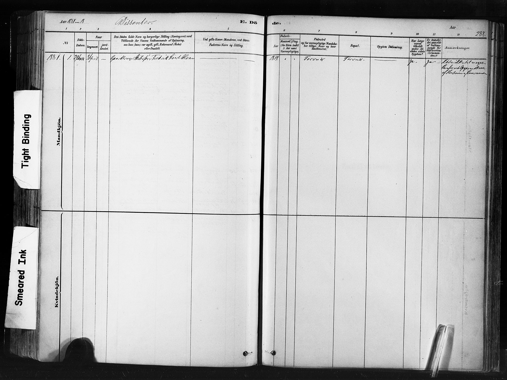 Ministerialprotokoller, klokkerbøker og fødselsregistre - Møre og Romsdal, SAT/A-1454/507/L0073: Parish register (official) no. 507A08, 1878-1904, p. 288