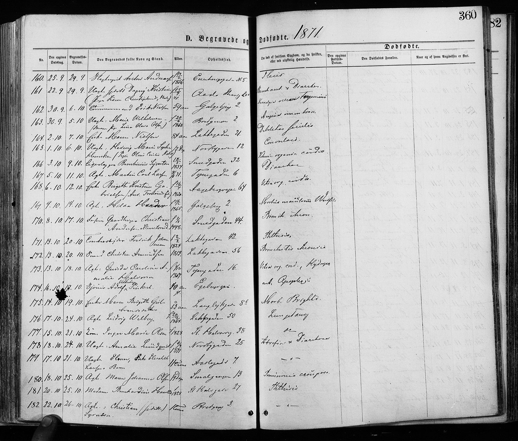 Grønland prestekontor Kirkebøker, SAO/A-10848/F/Fa/L0005: Parish register (official) no. 5, 1869-1880, p. 360