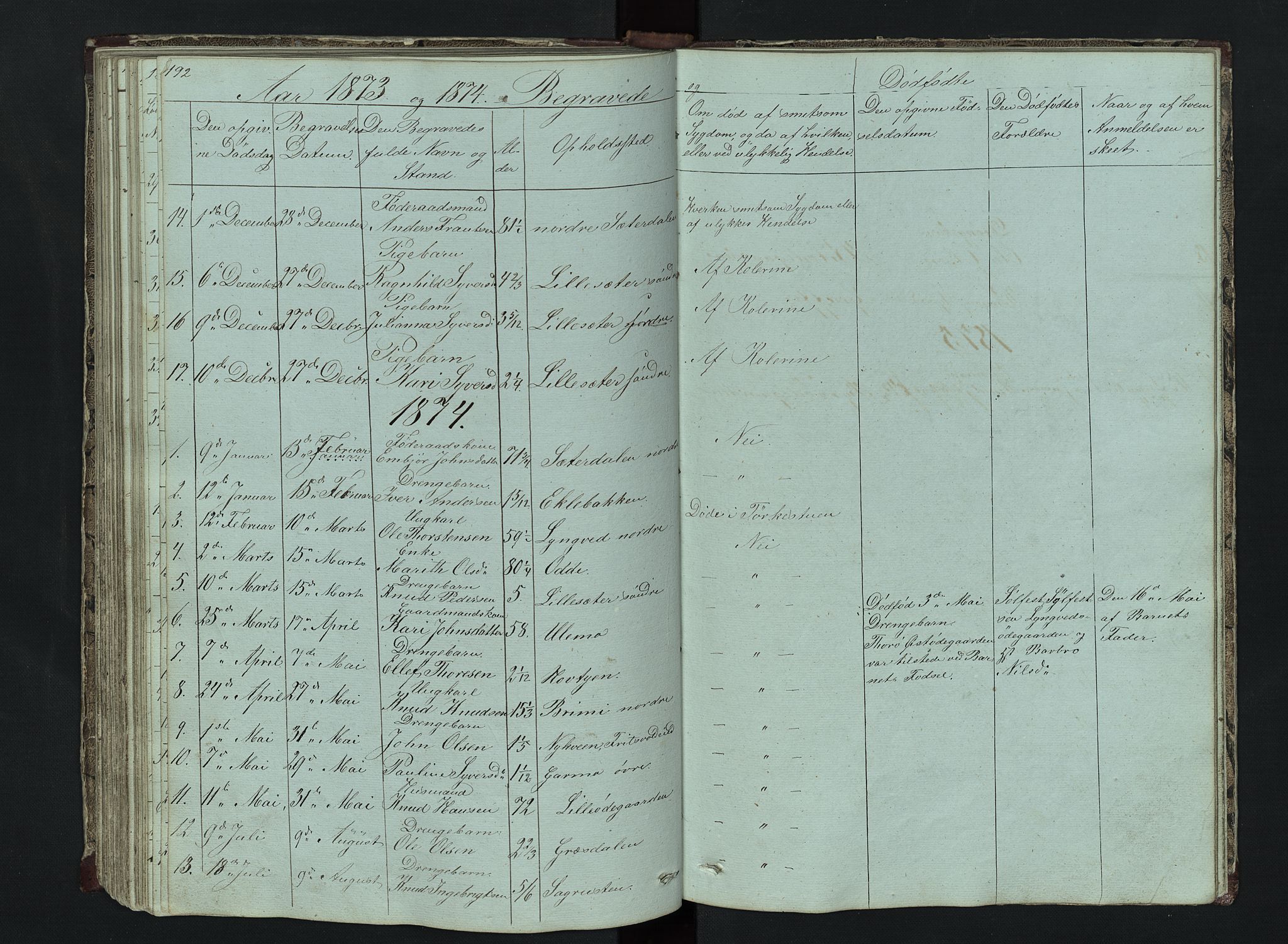 Lom prestekontor, SAH/PREST-070/L/L0014: Parish register (copy) no. 14, 1845-1876, p. 192-193