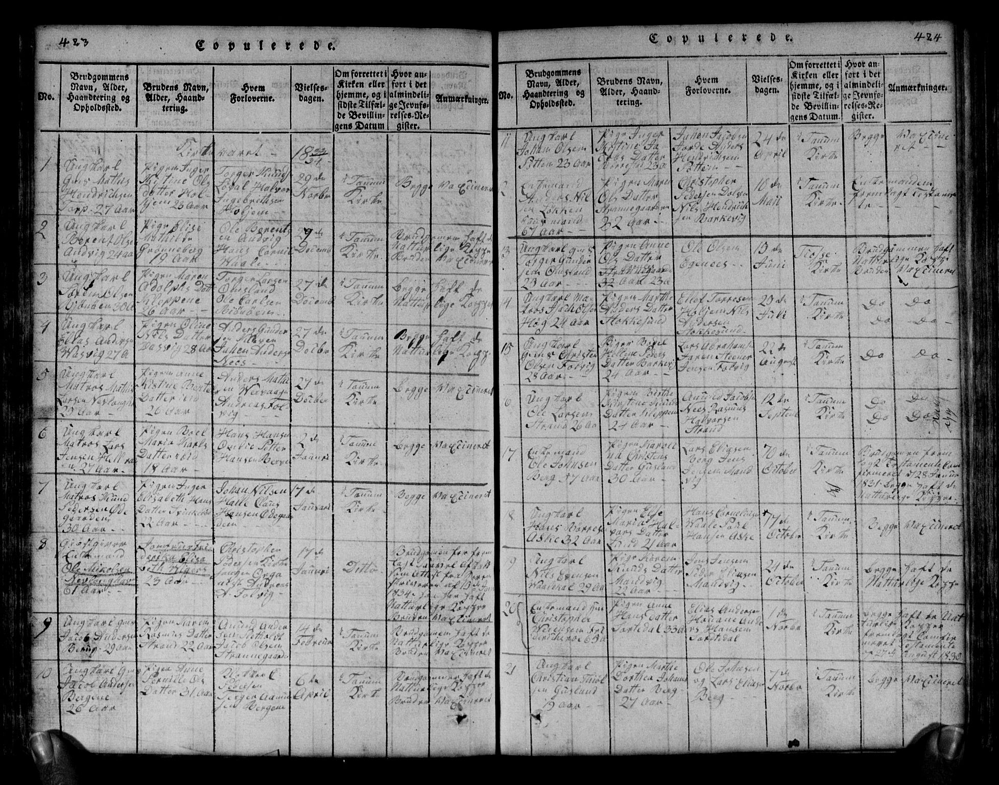 Brunlanes kirkebøker, AV/SAKO-A-342/G/Ga/L0001: Parish register (copy) no. I 1, 1814-1834, p. 423-424