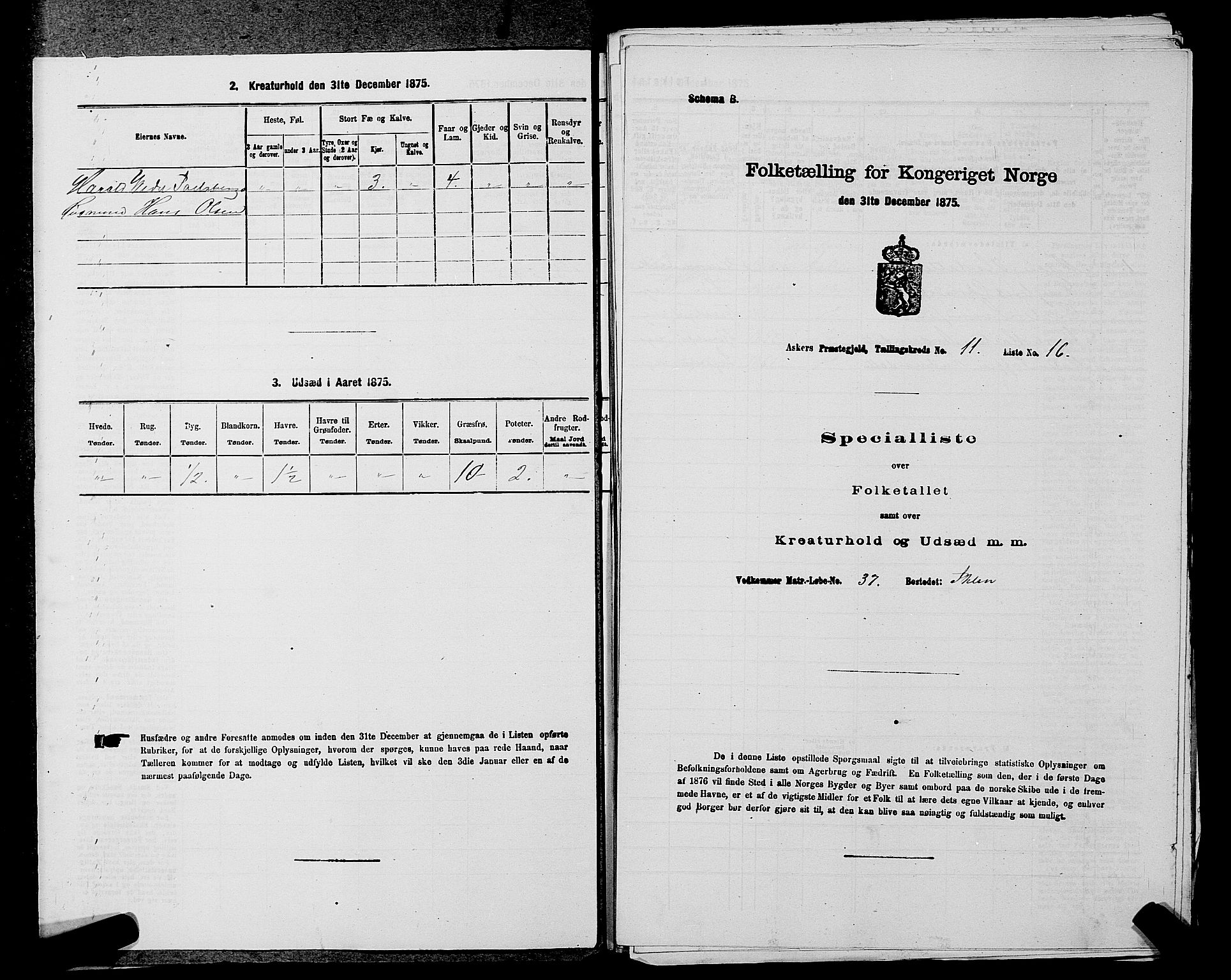 RA, 1875 census for 0220P Asker, 1875, p. 1915