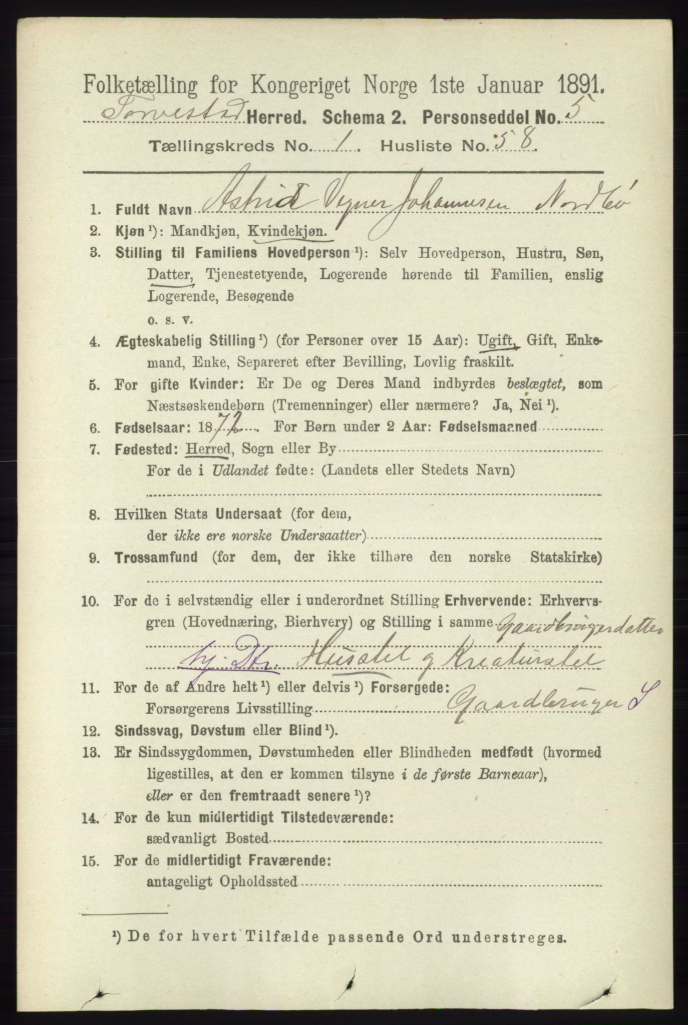 RA, 1891 census for 1152 Torvastad, 1891, p. 394