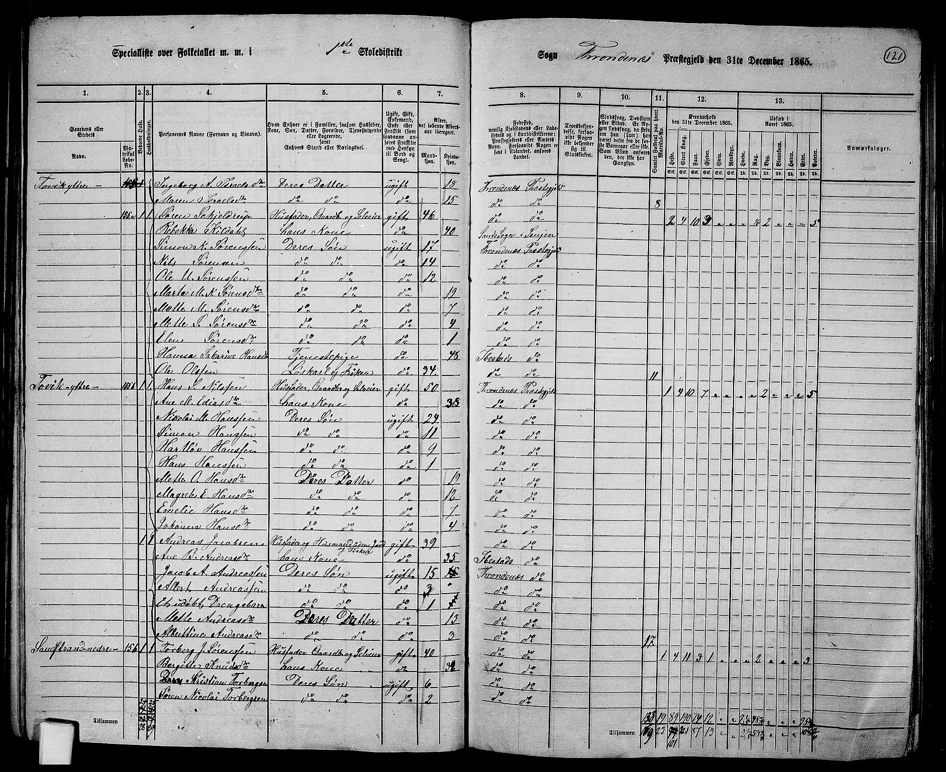 RA, 1865 census for Trondenes, 1865, p. 13