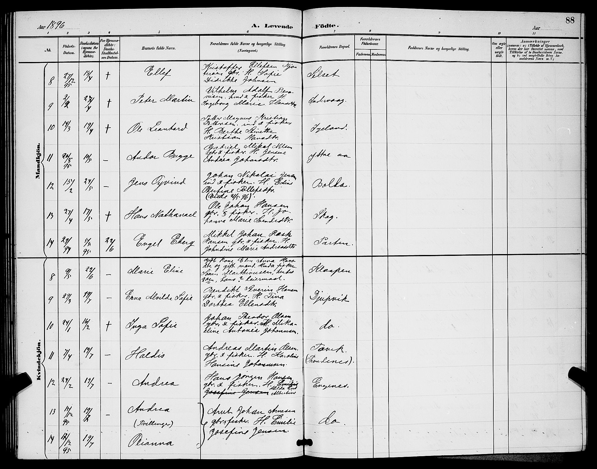 Ibestad sokneprestembete, SATØ/S-0077/H/Ha/Hab/L0008klokker: Parish register (copy) no. 8, 1890-1903, p. 88
