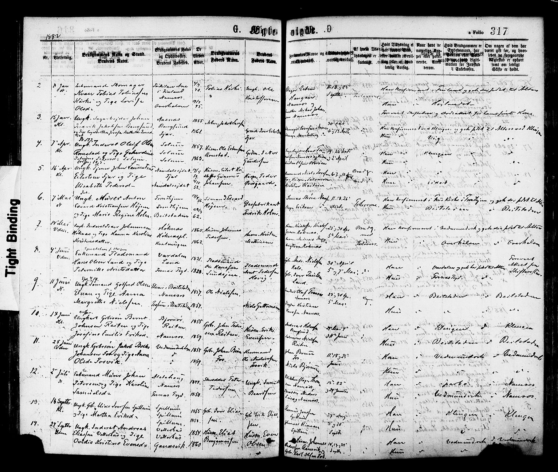 Ministerialprotokoller, klokkerbøker og fødselsregistre - Nord-Trøndelag, AV/SAT-A-1458/768/L0572: Parish register (official) no. 768A07, 1874-1886, p. 317