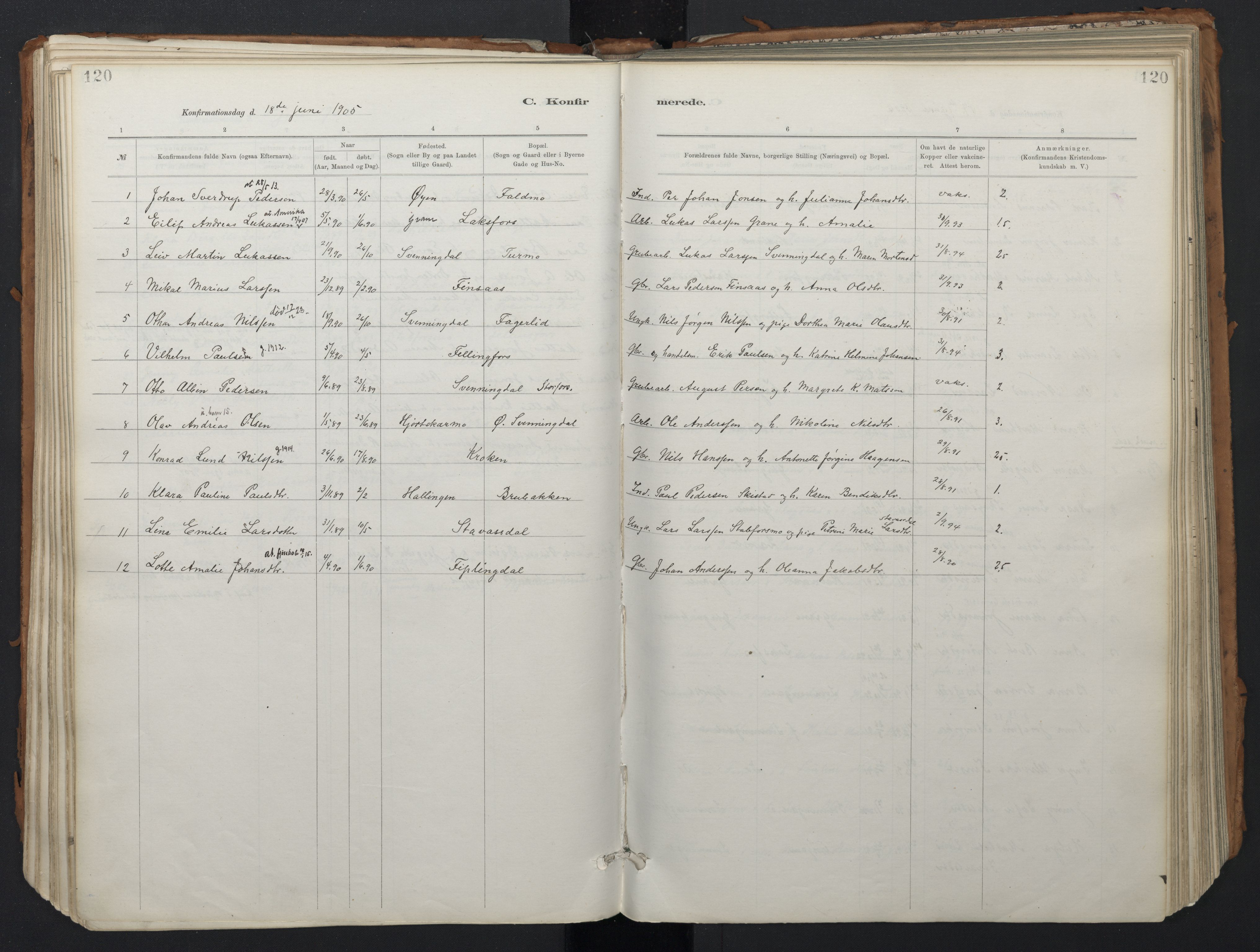 Ministerialprotokoller, klokkerbøker og fødselsregistre - Nordland, AV/SAT-A-1459/824/L0338: Parish register (official) no. 824A01, 1880-1915, p. 120