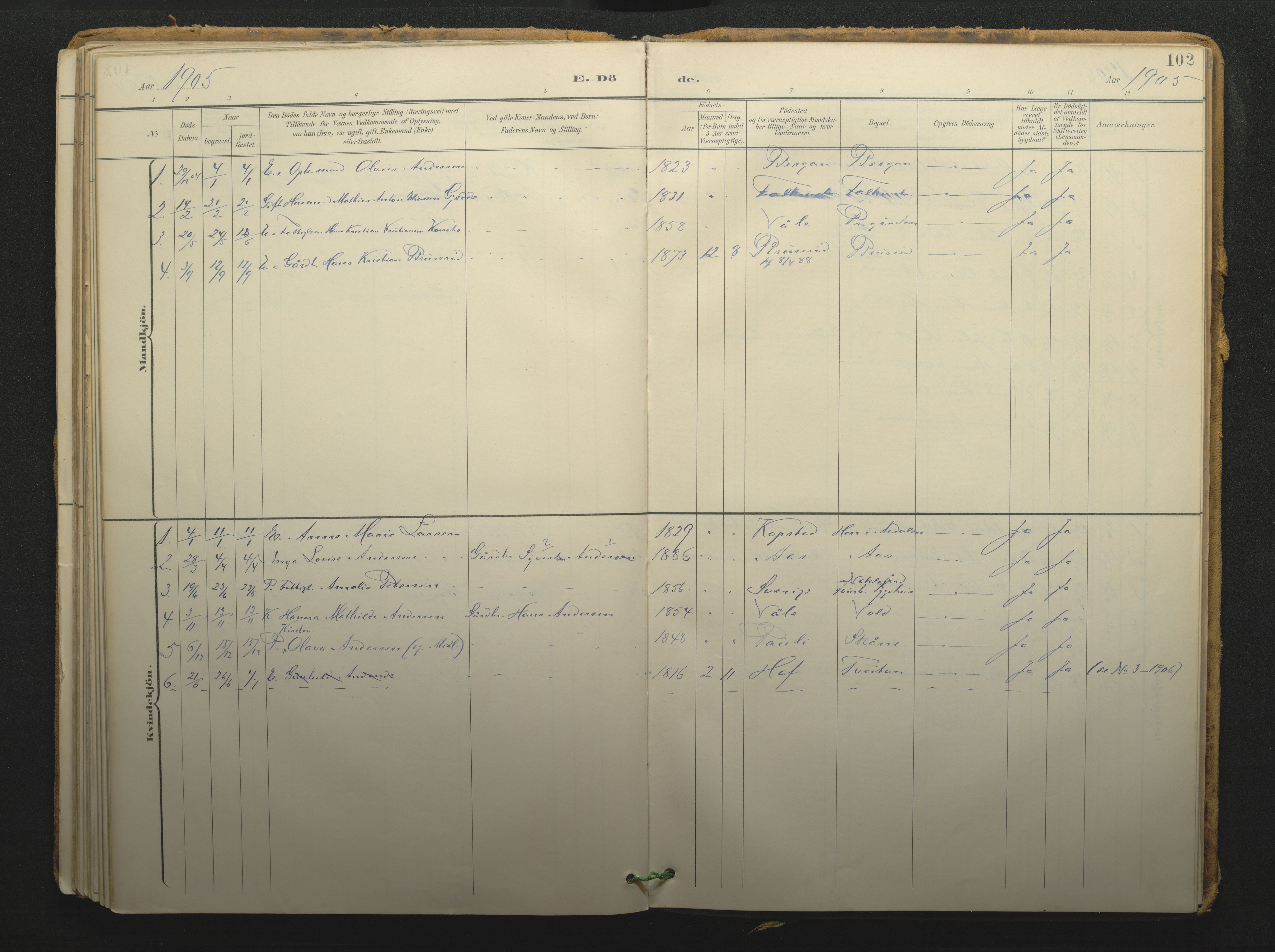 Borre kirkebøker, SAKO/A-338/F/Fc/L0003: Parish register (official) no. III 3, 1896-1919, p. 102