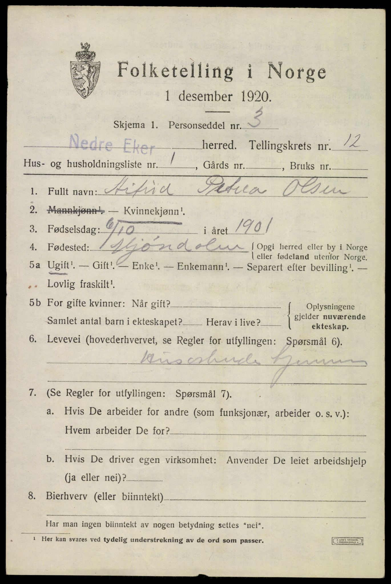 SAKO, 1920 census for Nedre Eiker, 1920, p. 12869