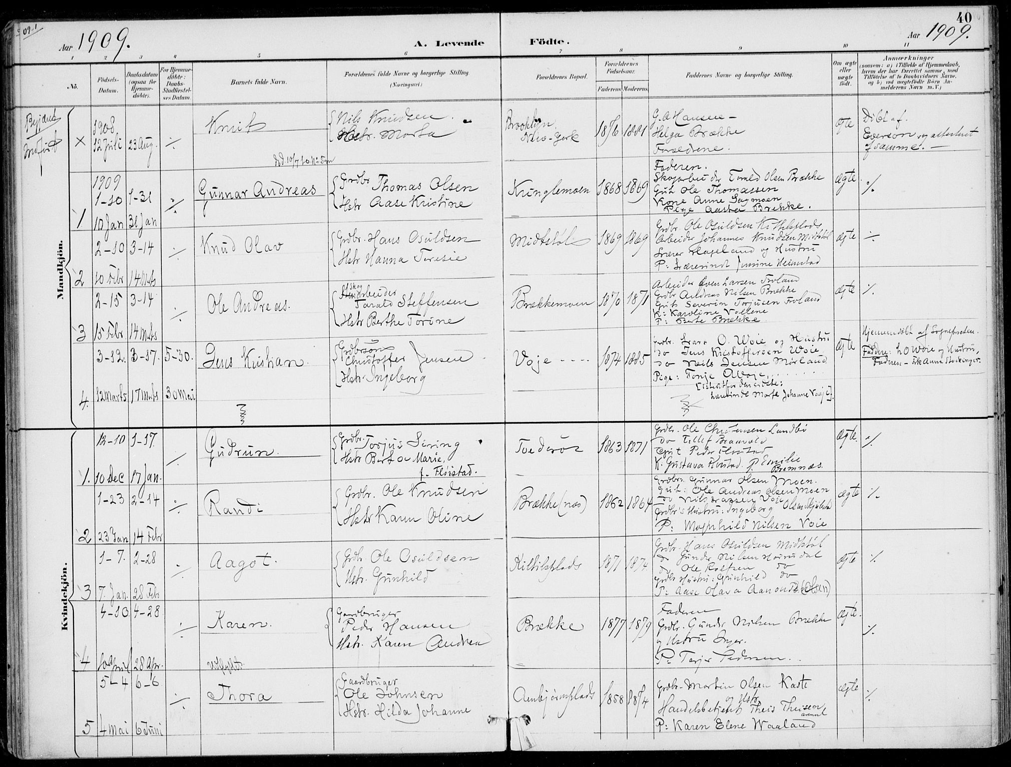 Austre Moland sokneprestkontor, SAK/1111-0001/F/Fa/Faa/L0011: Parish register (official) no. A 11, 1894-1915, p. 40
