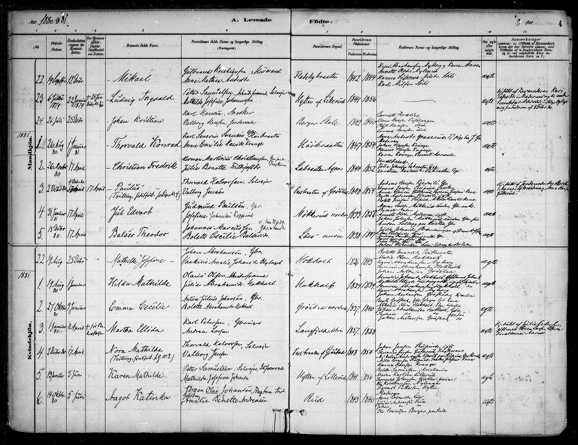 Nesodden prestekontor Kirkebøker, SAO/A-10013/F/Fa/L0009: Parish register (official) no. I 9, 1880-1915, p. 4