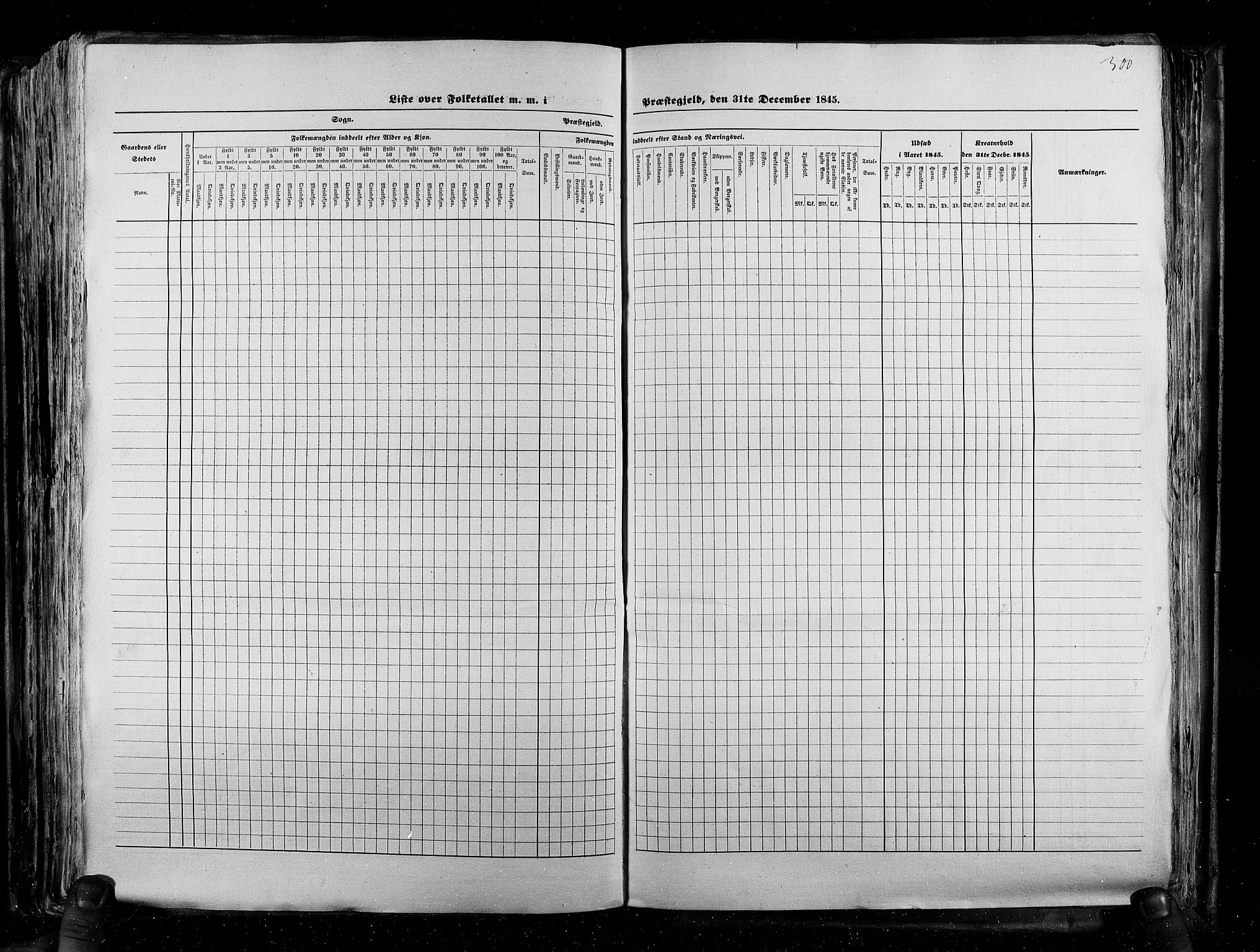 RA, Census 1845, vol. 5: Bratsberg amt og Nedenes og Råbyggelaget amt, 1845, p. 300