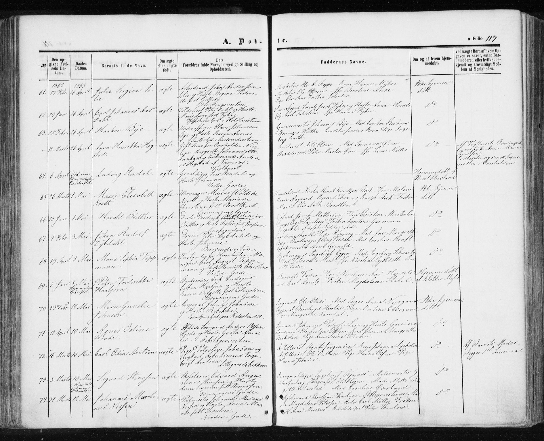 Ministerialprotokoller, klokkerbøker og fødselsregistre - Sør-Trøndelag, SAT/A-1456/601/L0053: Parish register (official) no. 601A21, 1857-1865, p. 117