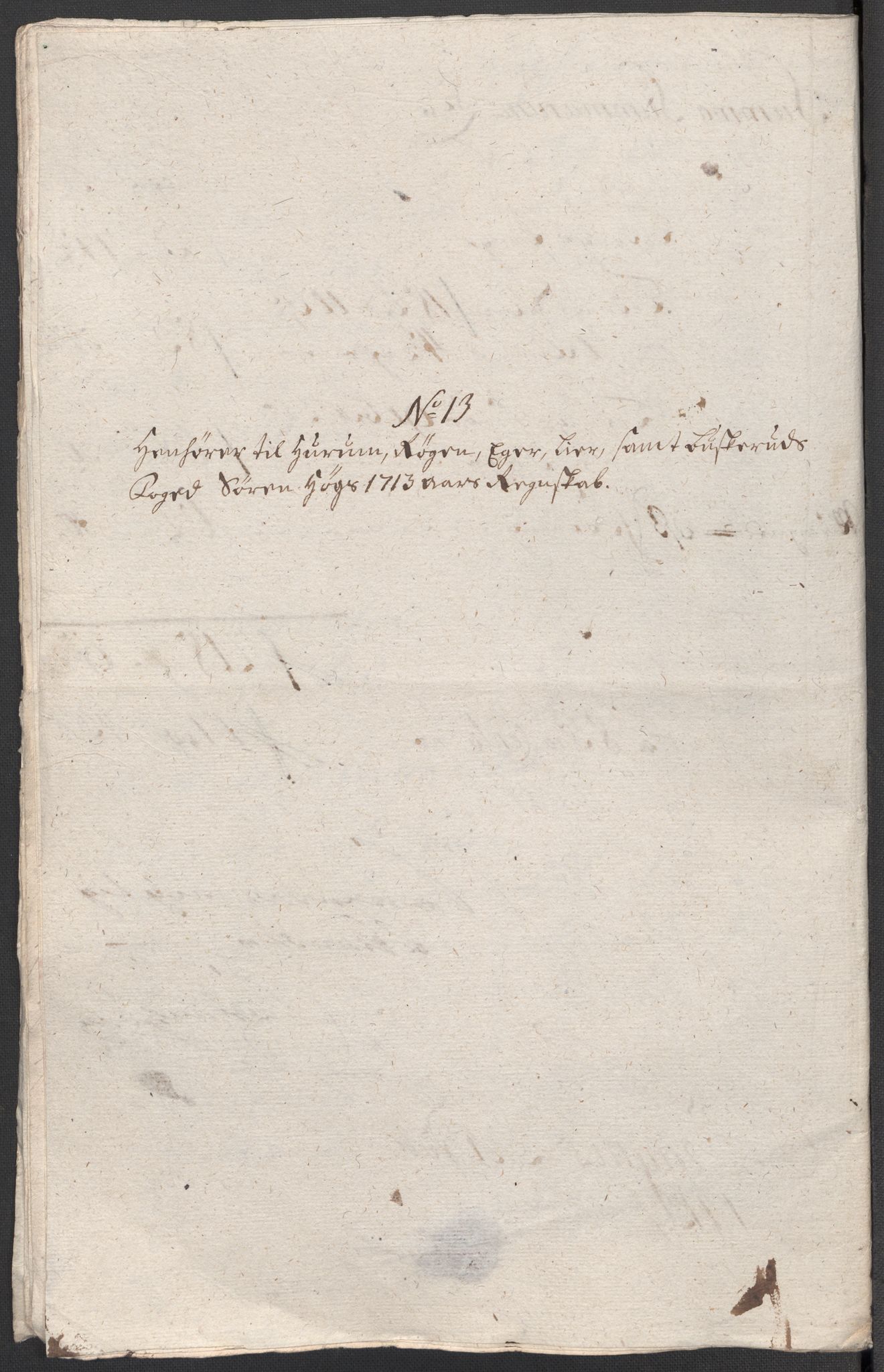 Rentekammeret inntil 1814, Reviderte regnskaper, Fogderegnskap, RA/EA-4092/R31/L1708: Fogderegnskap Hurum, Røyken, Eiker, Lier og Buskerud, 1713, p. 304