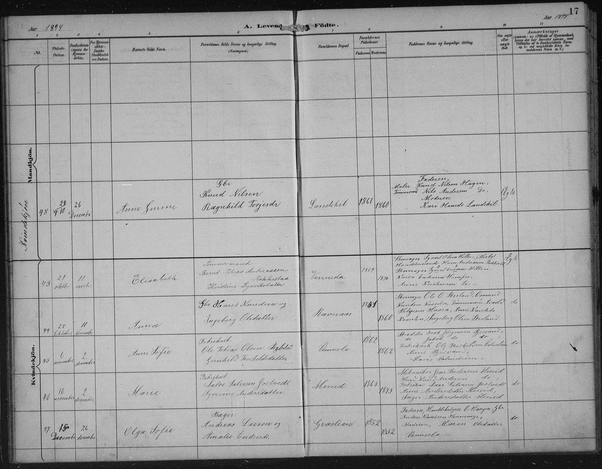 Vennesla sokneprestkontor, AV/SAK-1111-0045/Fb/Fbb/L0004: Parish register (copy) no. B 4, 1893-1902, p. 17