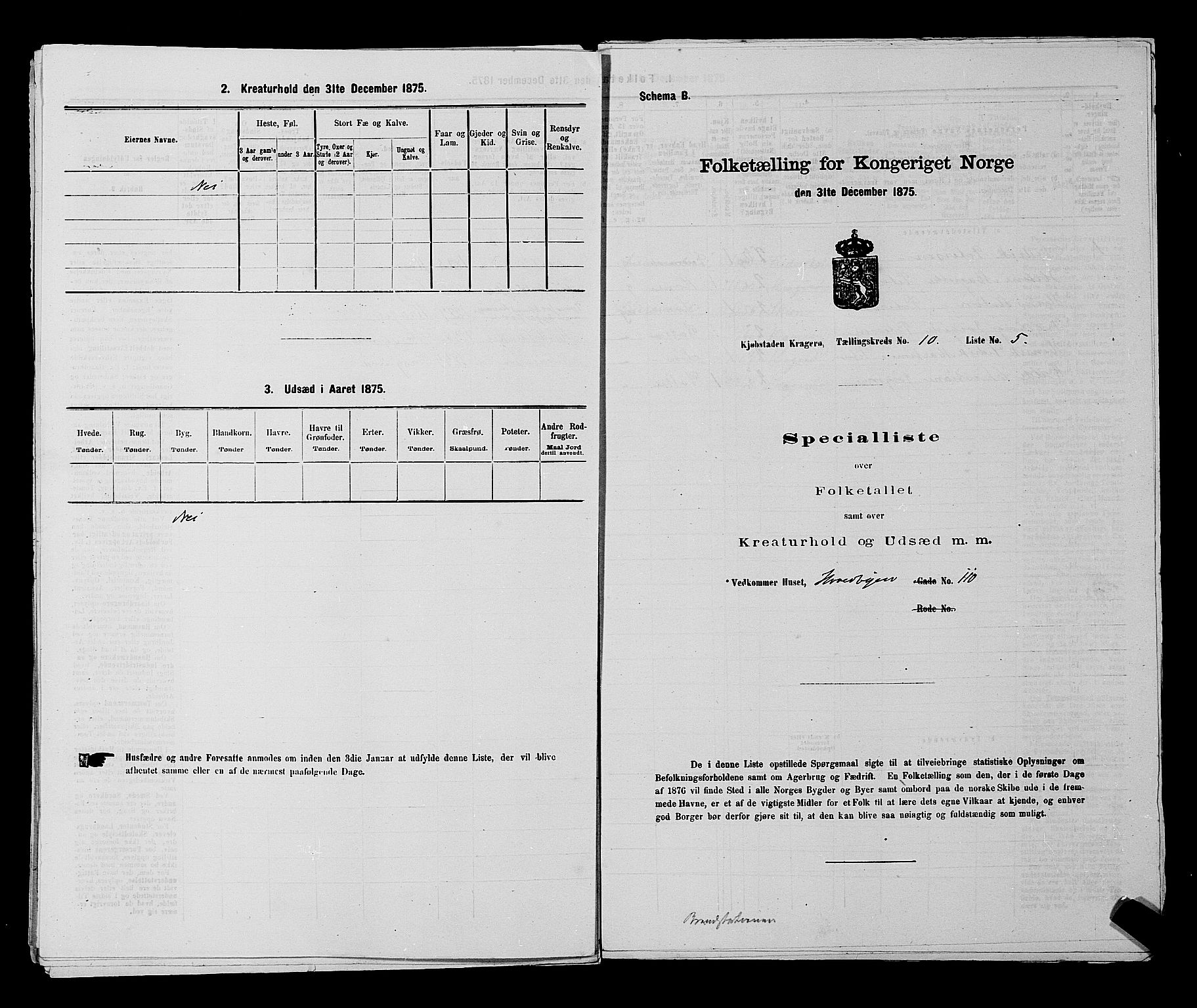 SAKO, 1875 census for 0801P Kragerø, 1875, p. 222