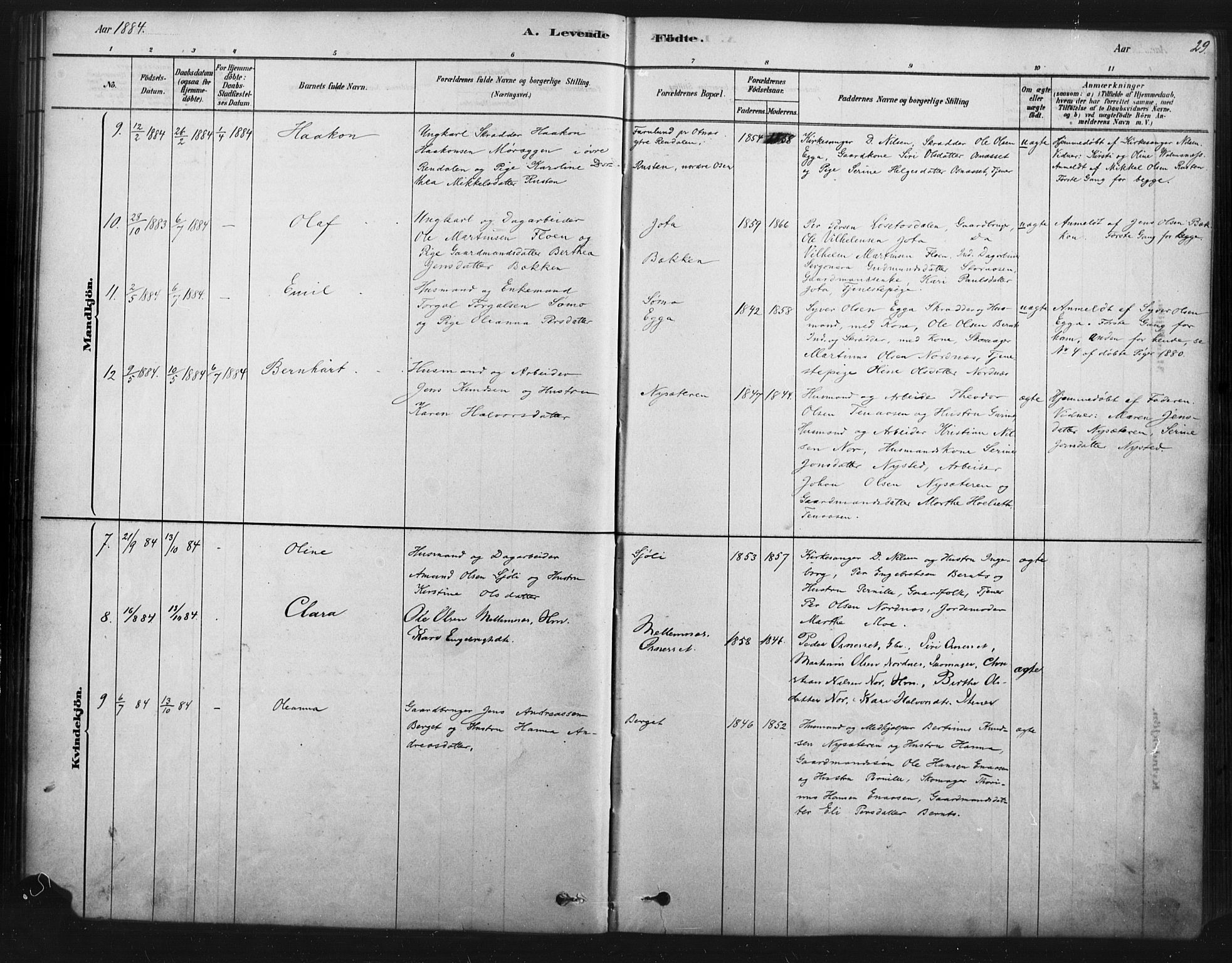 Åmot prestekontor, Hedmark, AV/SAH-PREST-056/H/Ha/Haa/L0012: Parish register (official) no. 12, 1878-1901, p. 29