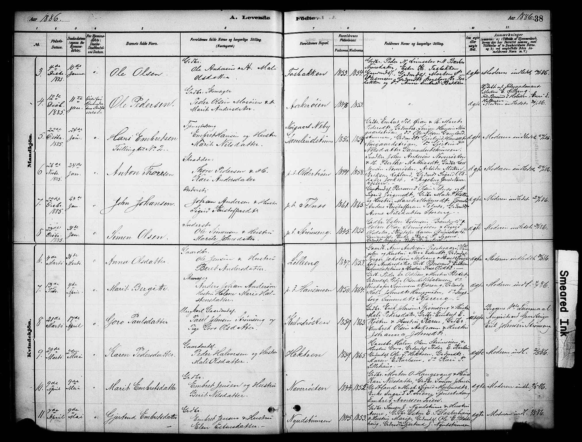 Tynset prestekontor, SAH/PREST-058/H/Ha/Hab/L0006: Parish register (copy) no. 6, 1880-1899, p. 38