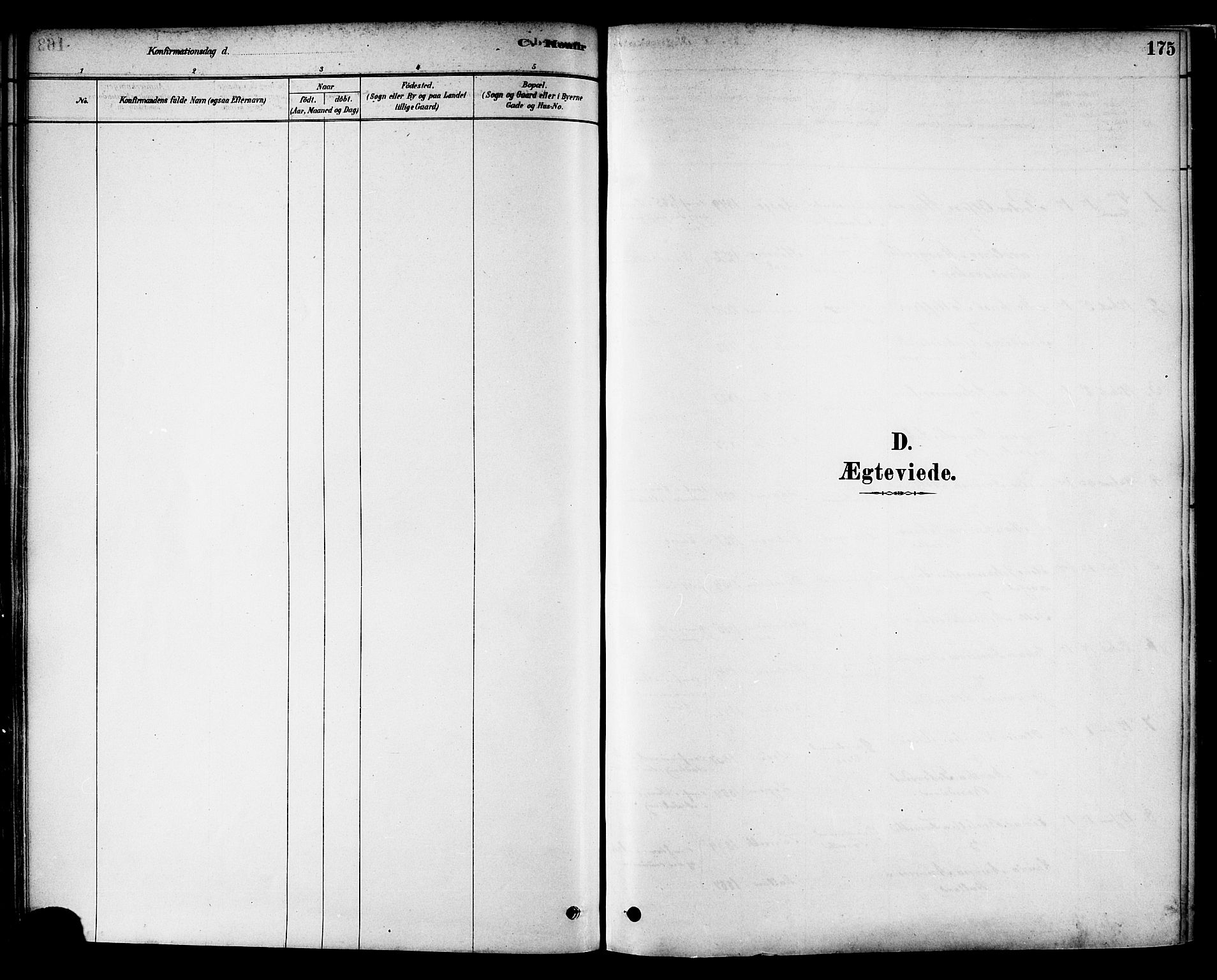 Ministerialprotokoller, klokkerbøker og fødselsregistre - Nord-Trøndelag, SAT/A-1458/717/L0159: Parish register (official) no. 717A09, 1878-1898, p. 175
