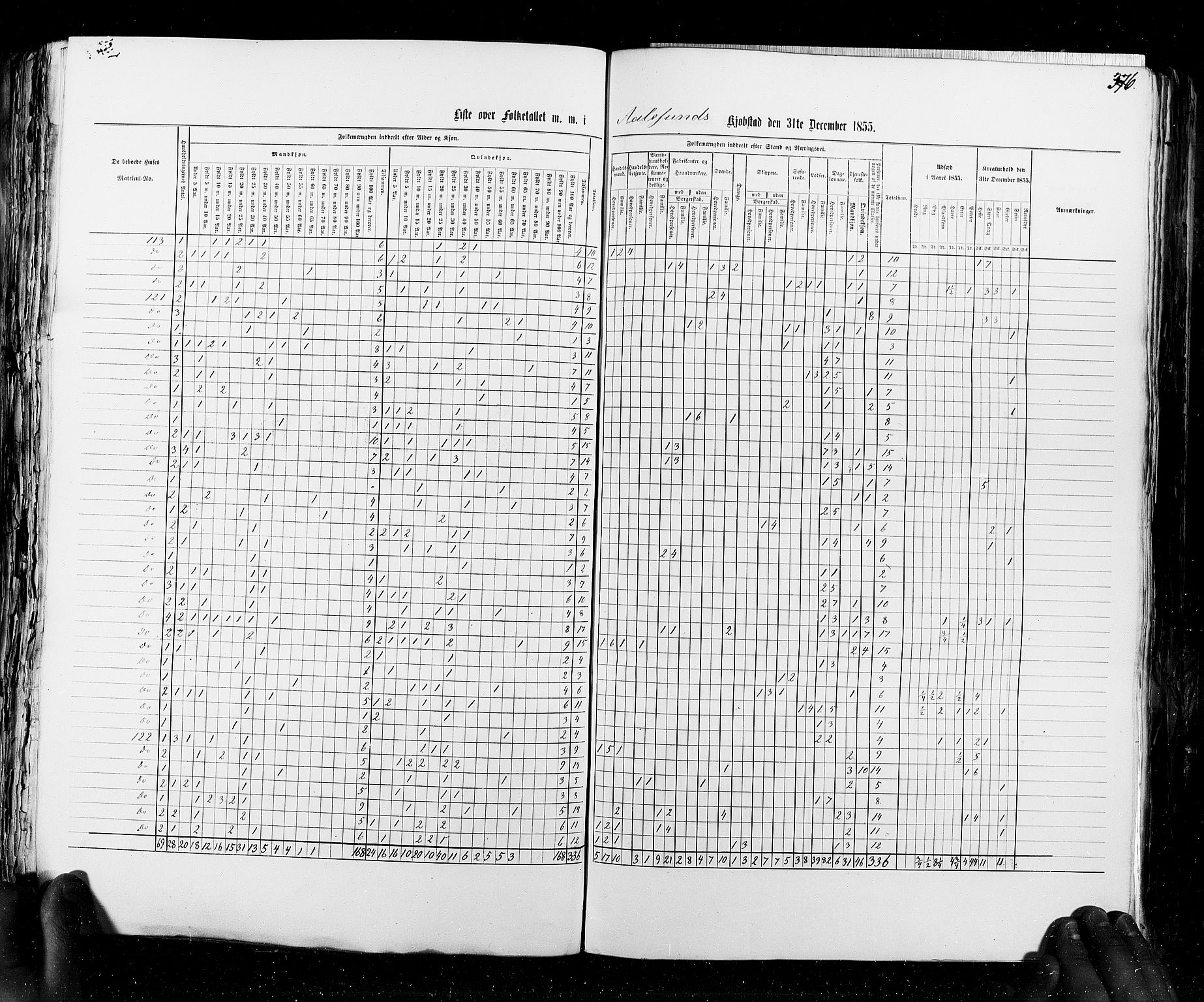 RA, Census 1855, vol. 8: Risør-Vadsø, 1855, p. 376