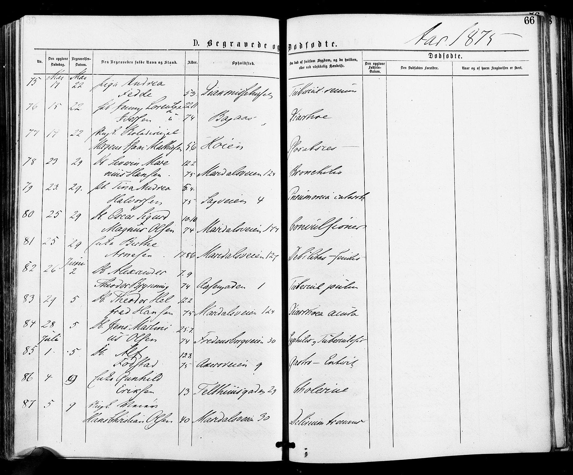 Gamle Aker prestekontor Kirkebøker, SAO/A-10617a/F/L0004: Parish register (official) no. 4, 1872-1879, p. 66