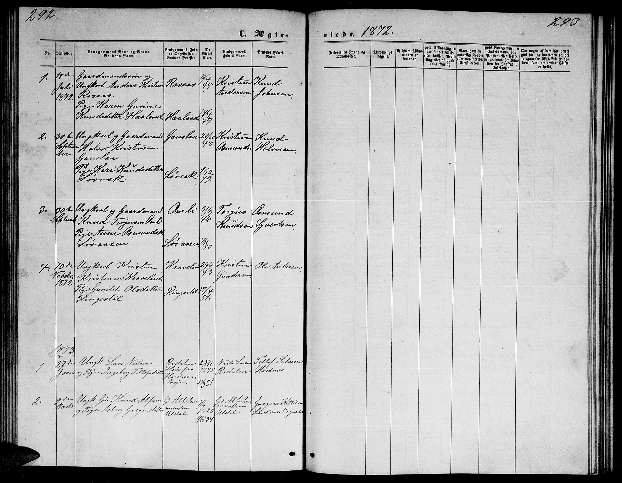 Herefoss sokneprestkontor, AV/SAK-1111-0019/F/Fb/Fba/L0002: Parish register (copy) no. B 2, 1868-1886, p. 292-293