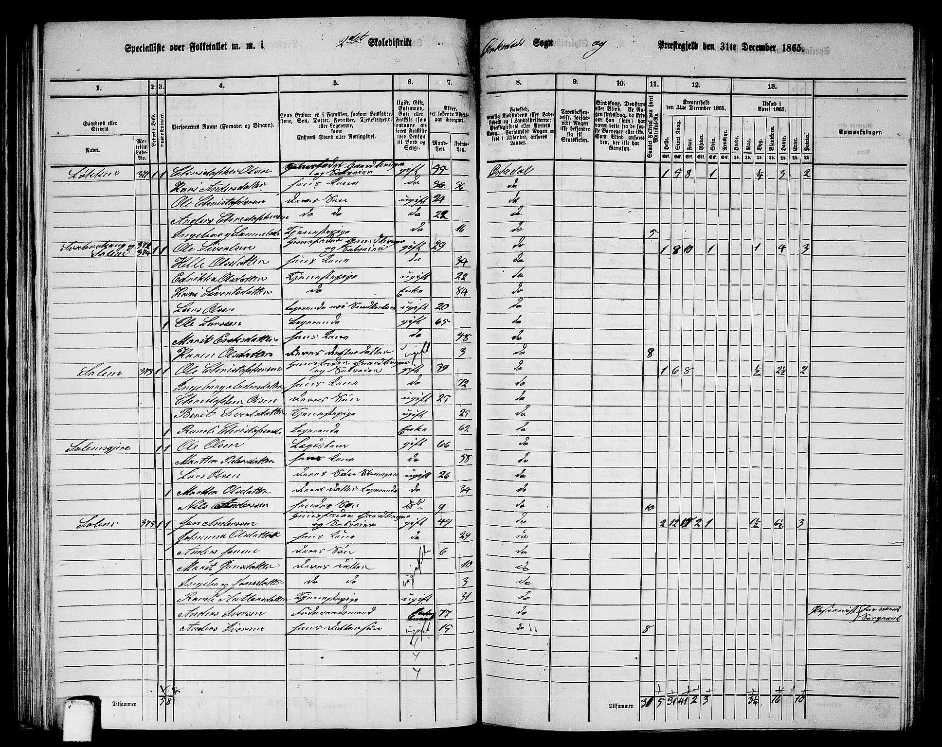 RA, 1865 census for Orkdal, 1865, p. 80