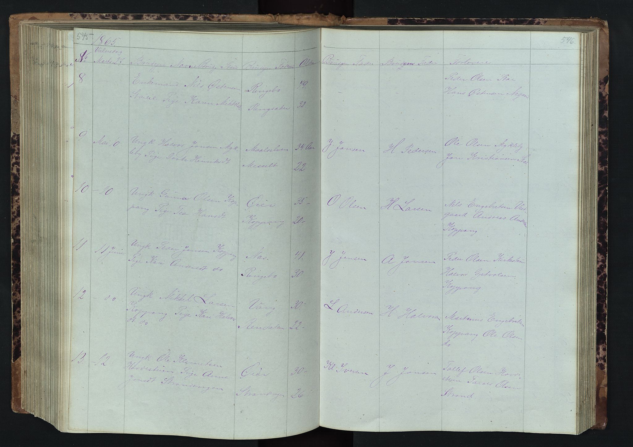 Stor-Elvdal prestekontor, SAH/PREST-052/H/Ha/Hab/L0001: Parish register (copy) no. 1 /1, 1860-1894, p. 545-546