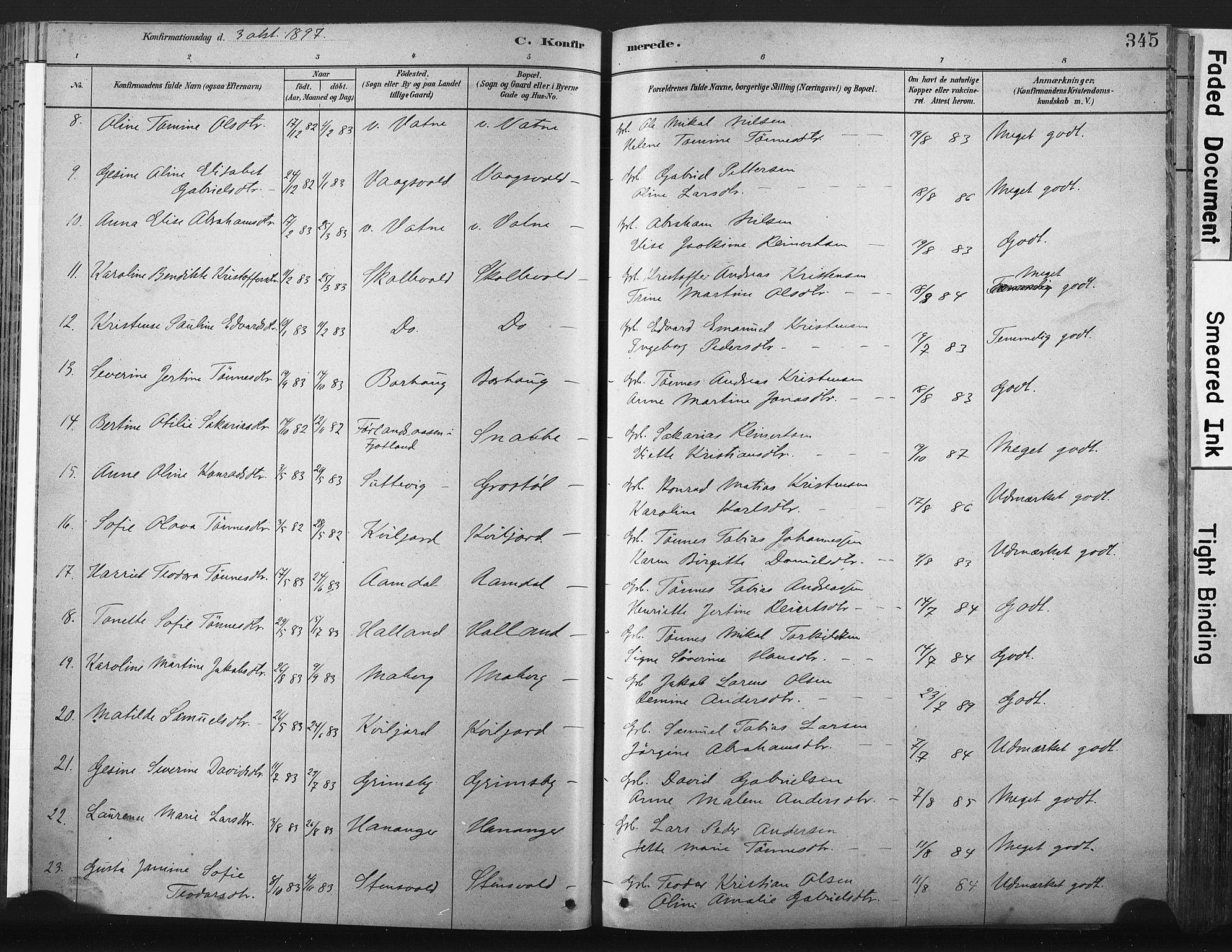 Lista sokneprestkontor, AV/SAK-1111-0027/F/Fa/L0012: Parish register (official) no. A 12, 1879-1903, p. 345