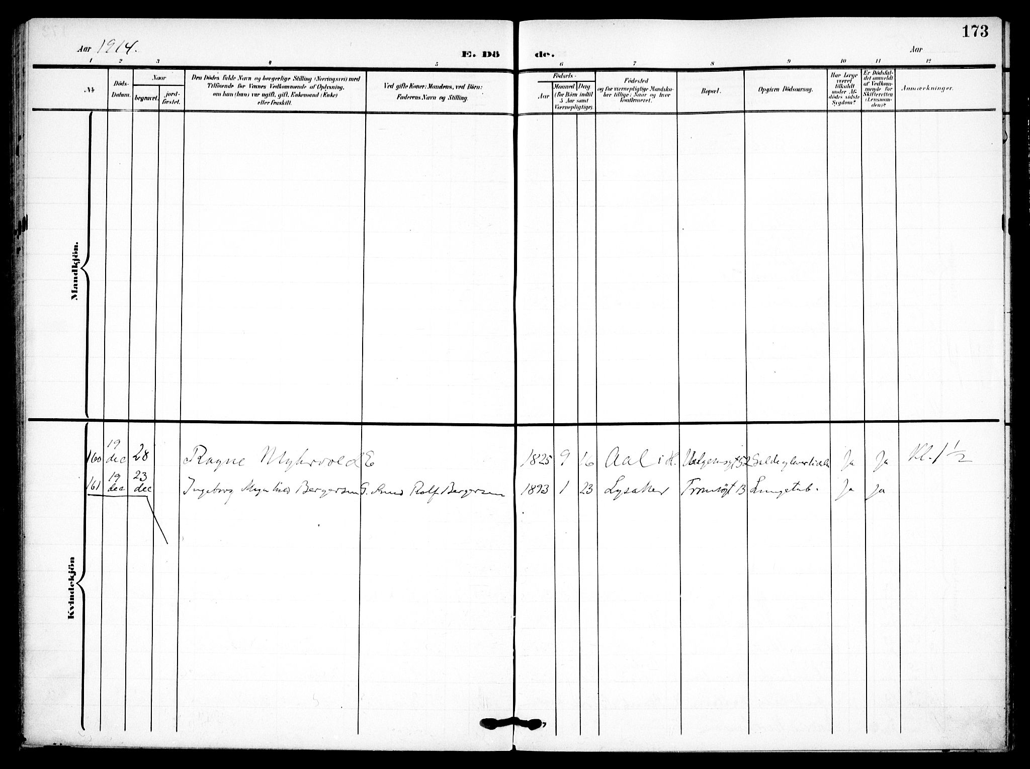 Petrus prestekontor Kirkebøker, AV/SAO-A-10872/F/Fa/L0010: Parish register (official) no. 10, 1904-1916, p. 173