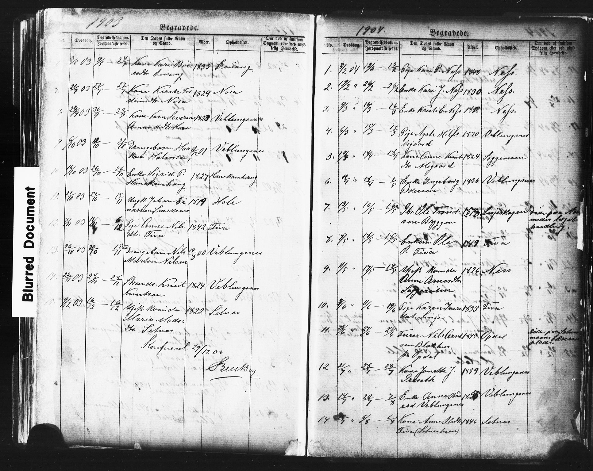 Ministerialprotokoller, klokkerbøker og fødselsregistre - Møre og Romsdal, AV/SAT-A-1454/544/L0580: Parish register (copy) no. 544C02, 1867-1909, p. 265