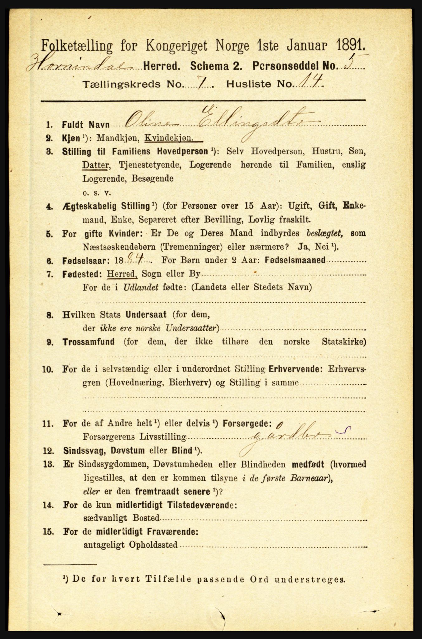 RA, 1891 census for 1444 Hornindal, 1891, p. 1850