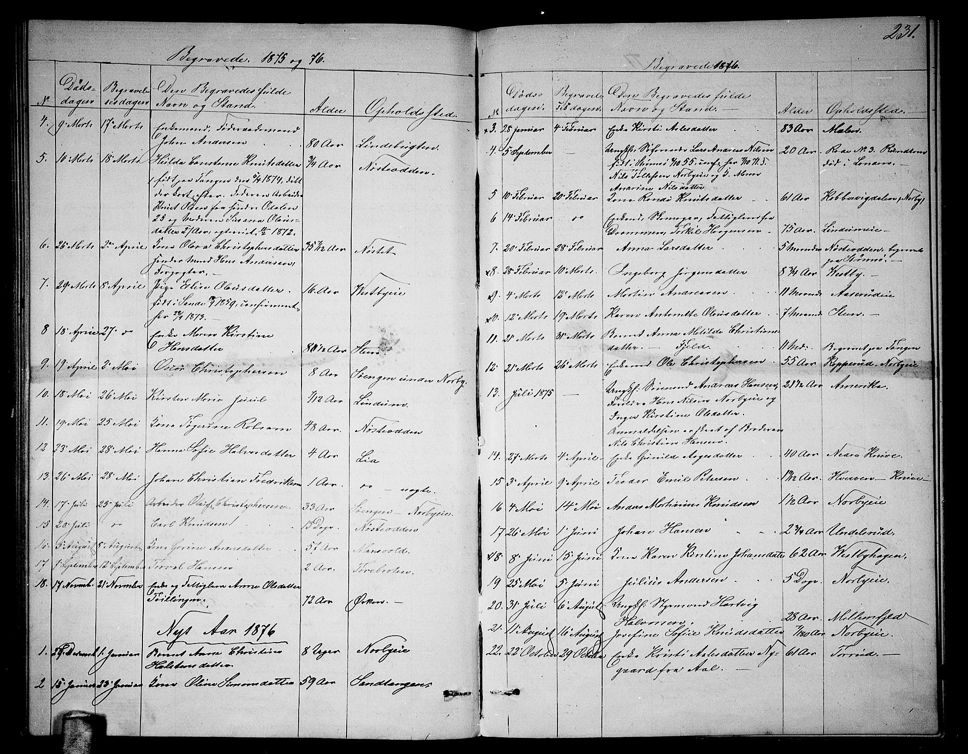 Skoger kirkebøker, AV/SAKO-A-59/G/Ga/L0002: Parish register (copy) no. I 2, 1860-1880, p. 231