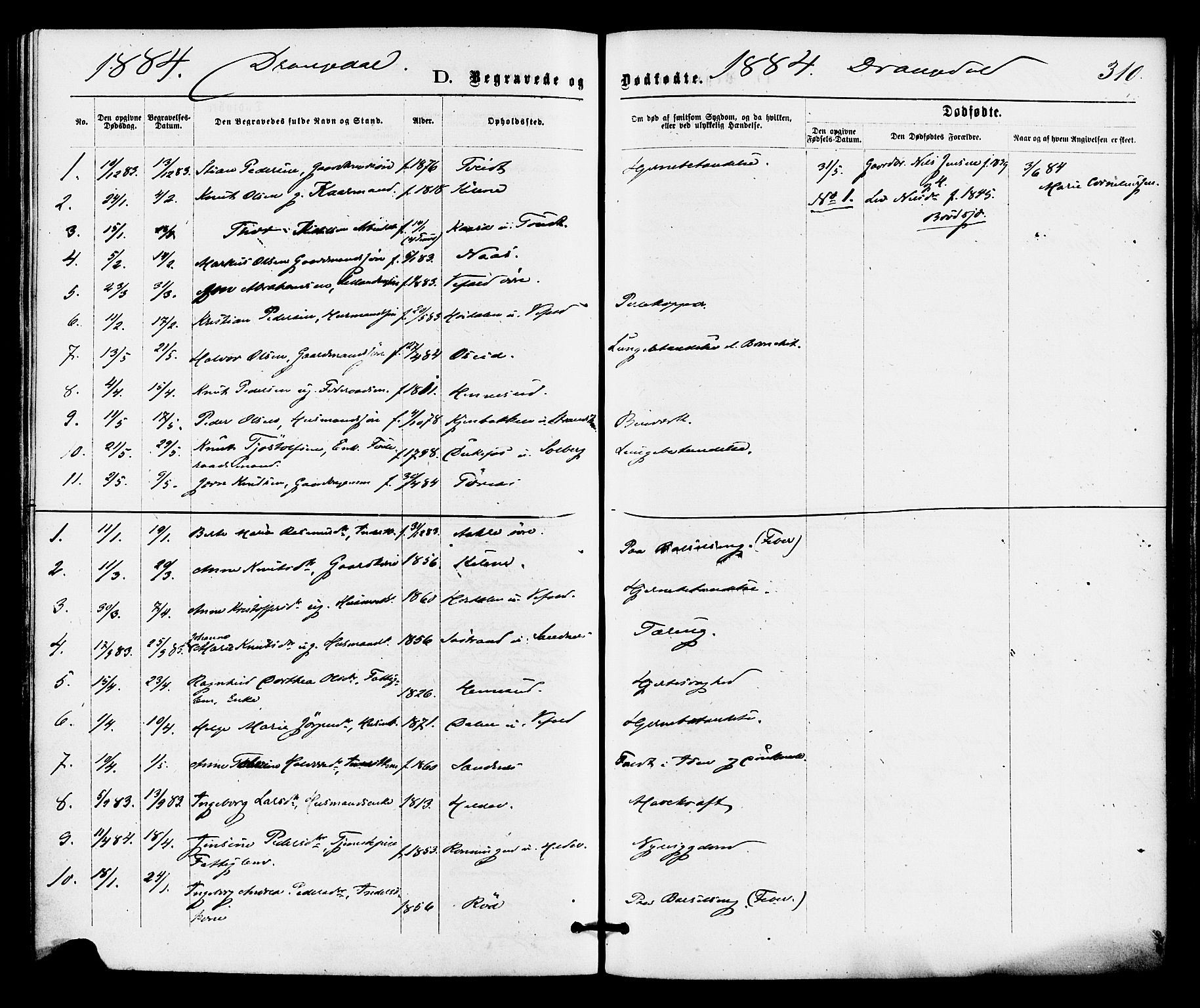 Drangedal kirkebøker, SAKO/A-258/F/Fa/L0009: Parish register (official) no. 9 /1, 1872-1884, p. 310