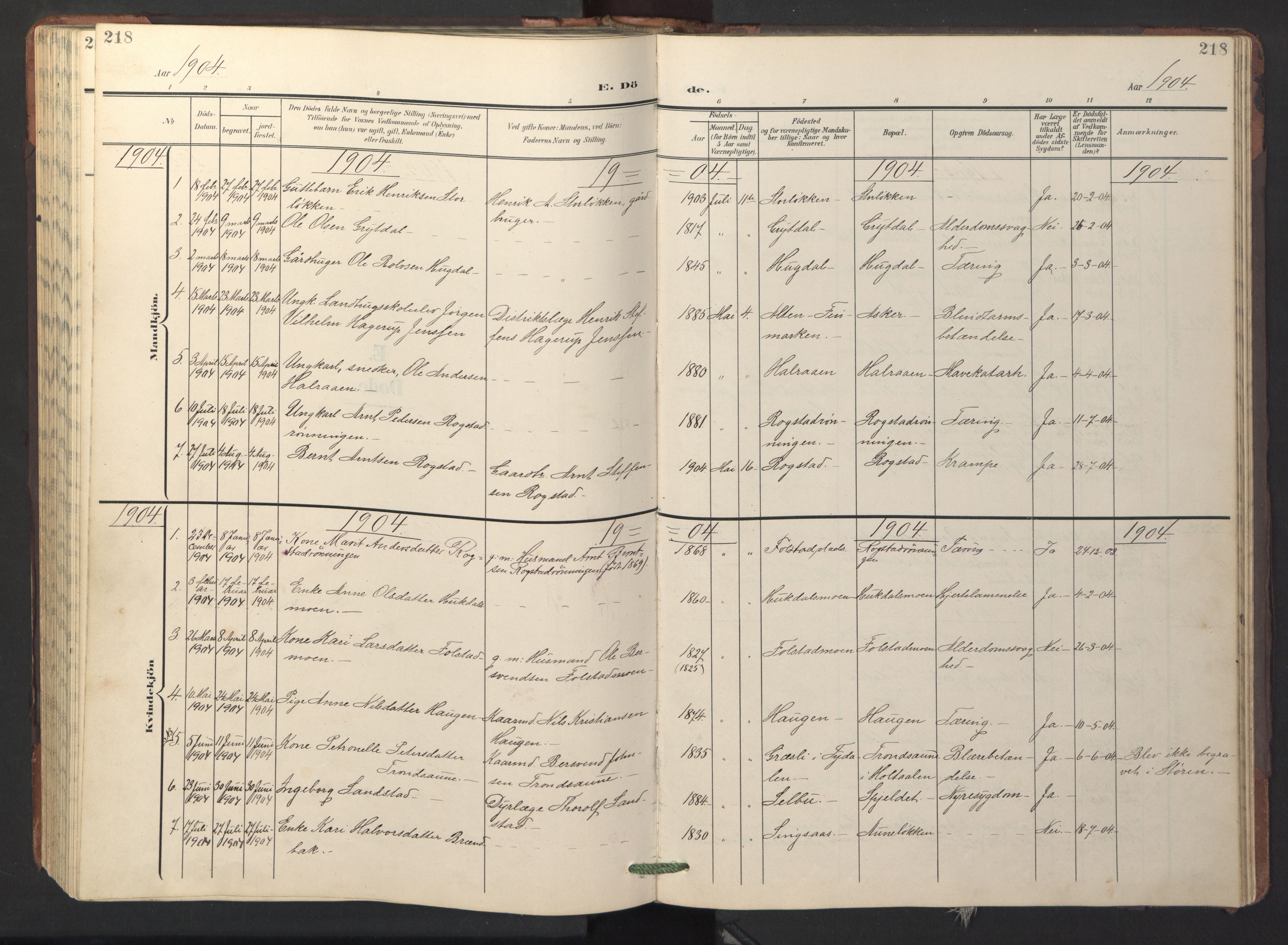 Ministerialprotokoller, klokkerbøker og fødselsregistre - Sør-Trøndelag, SAT/A-1456/687/L1019: Parish register (copy) no. 687C03, 1904-1931, p. 218