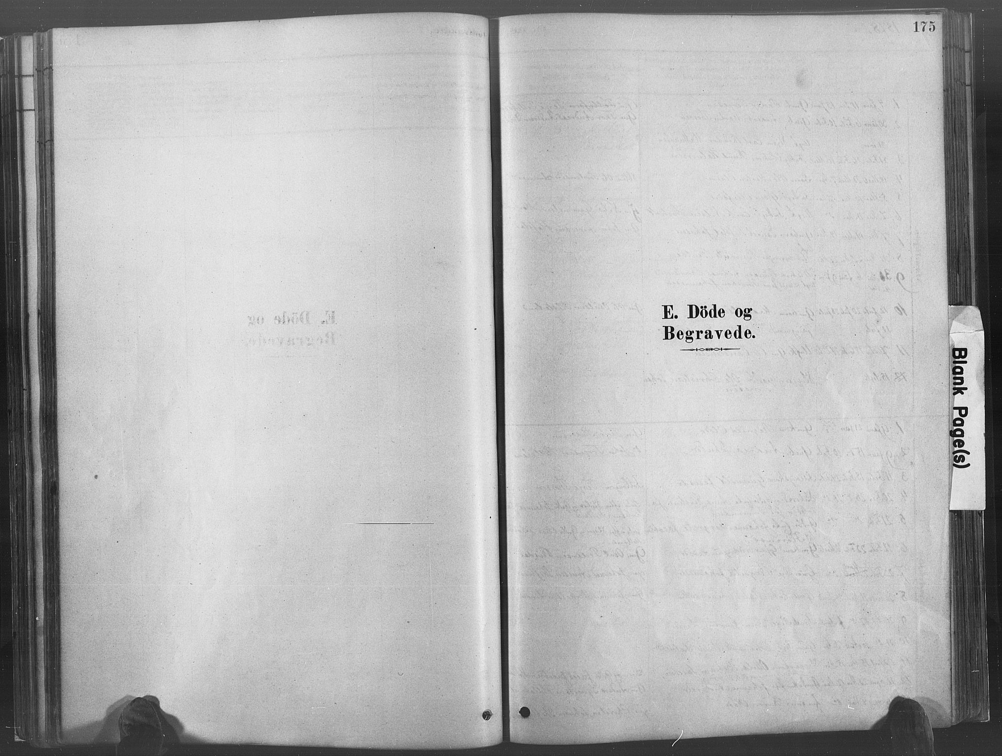 Hommedal sokneprestkontor, SAK/1111-0023/F/Fa/Fab/L0006: Parish register (official) no. A 6, 1878-1897, p. 175