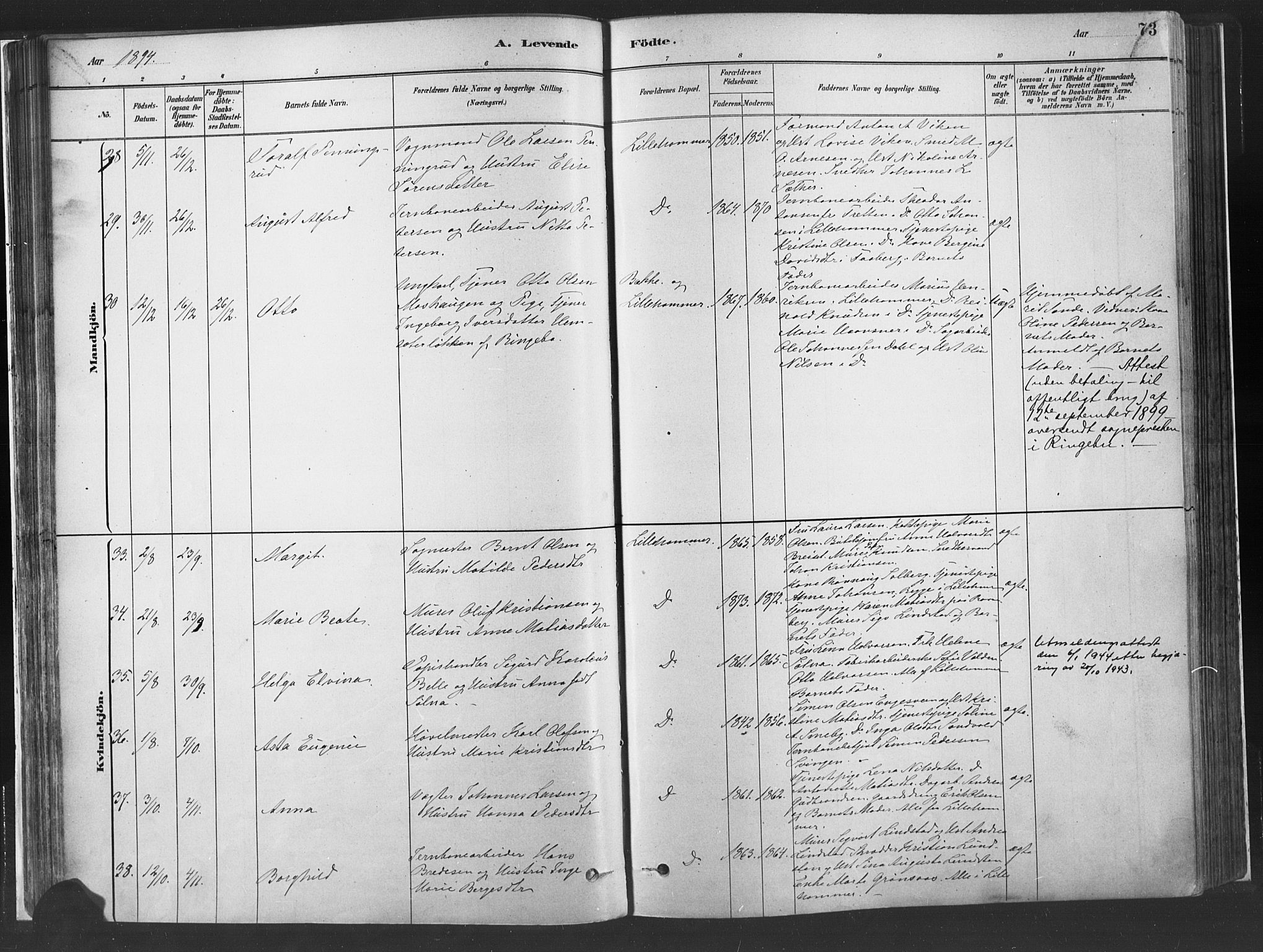 Fåberg prestekontor, SAH/PREST-086/H/Ha/Haa/L0010: Parish register (official) no. 10, 1879-1900, p. 73