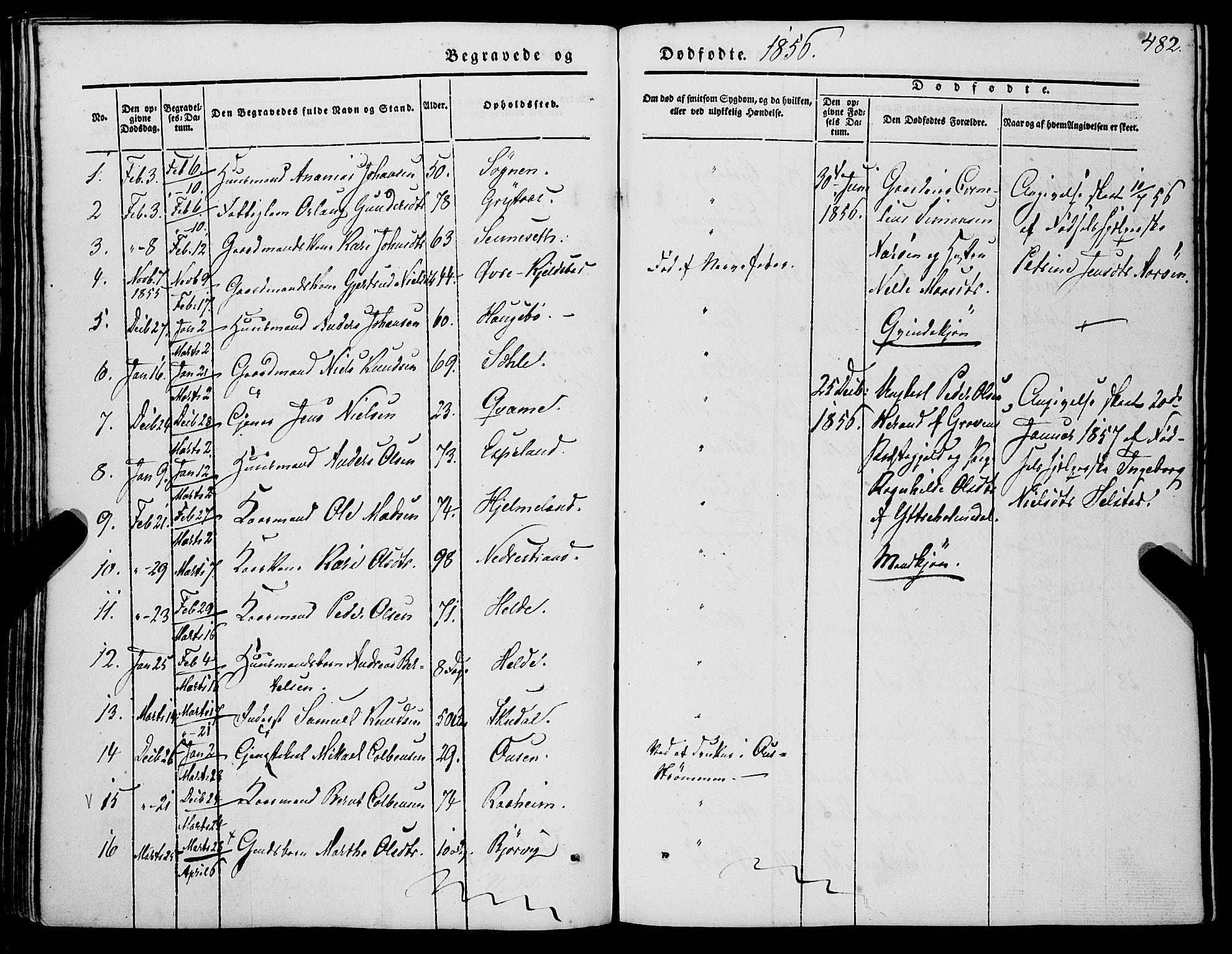 Gaular sokneprestembete, SAB/A-80001/H/Haa: Parish register (official) no. A 4II, 1841-1859, p. 482