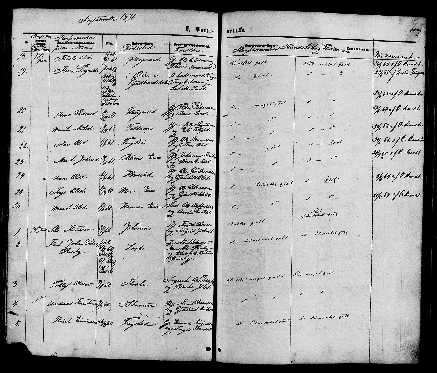 Vestre Slidre prestekontor, SAH/PREST-136/H/Ha/Haa/L0003: Parish register (official) no. 3, 1865-1880, p. 324