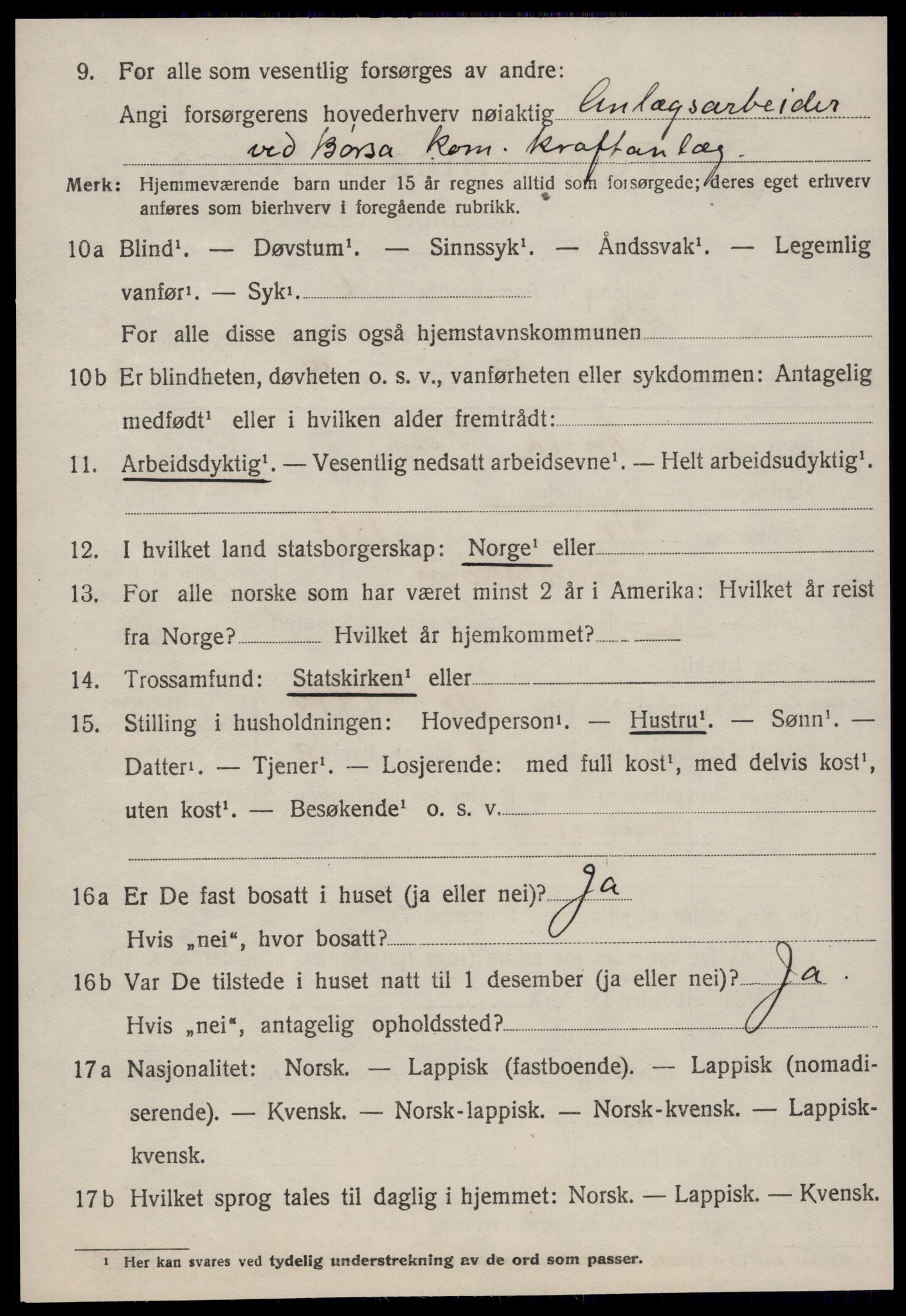 SAT, 1920 census for Børsa, 1920, p. 1234