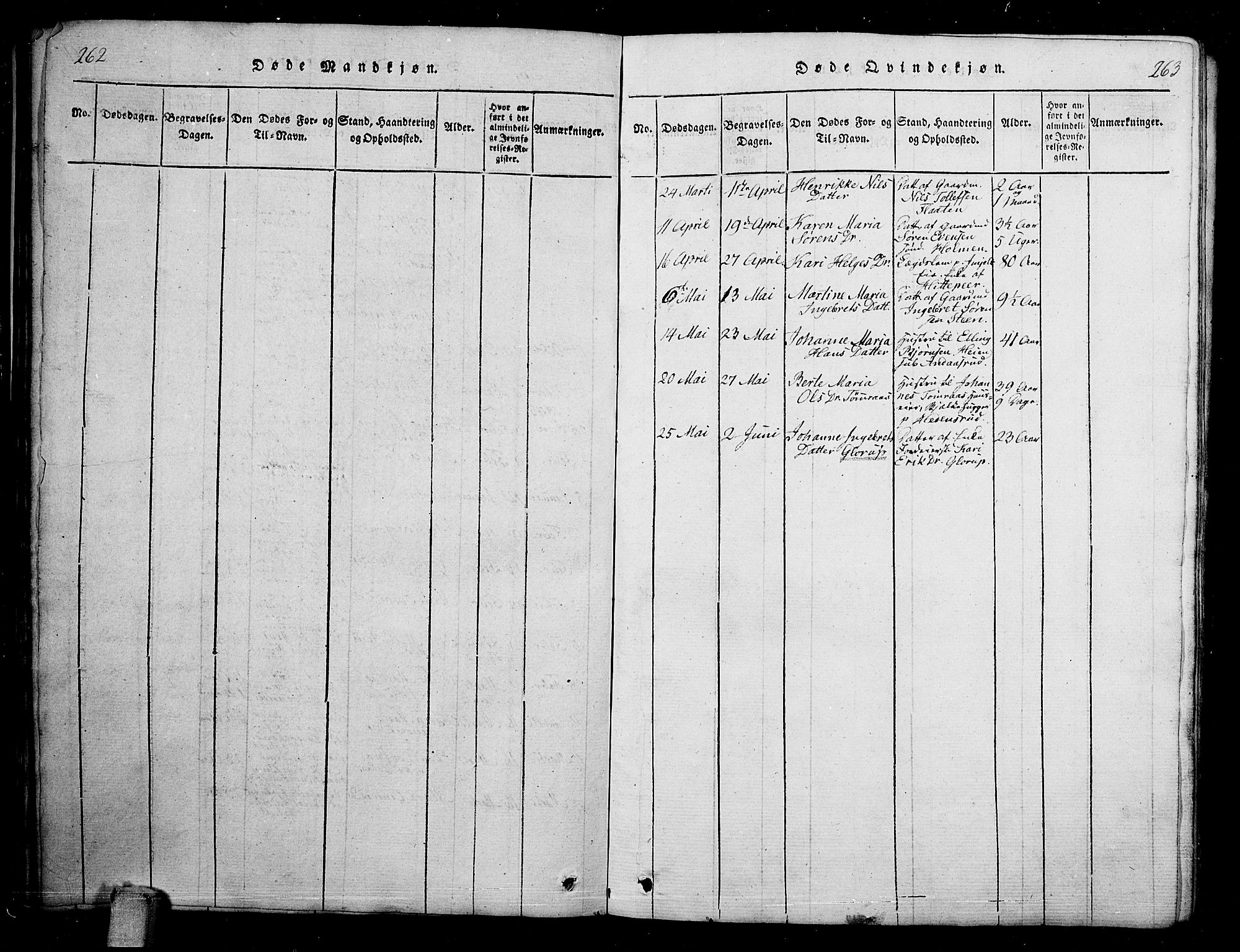 Skoger kirkebøker, AV/SAKO-A-59/G/Ga/L0001: Parish register (copy) no. I 1, 1814-1845, p. 262-263