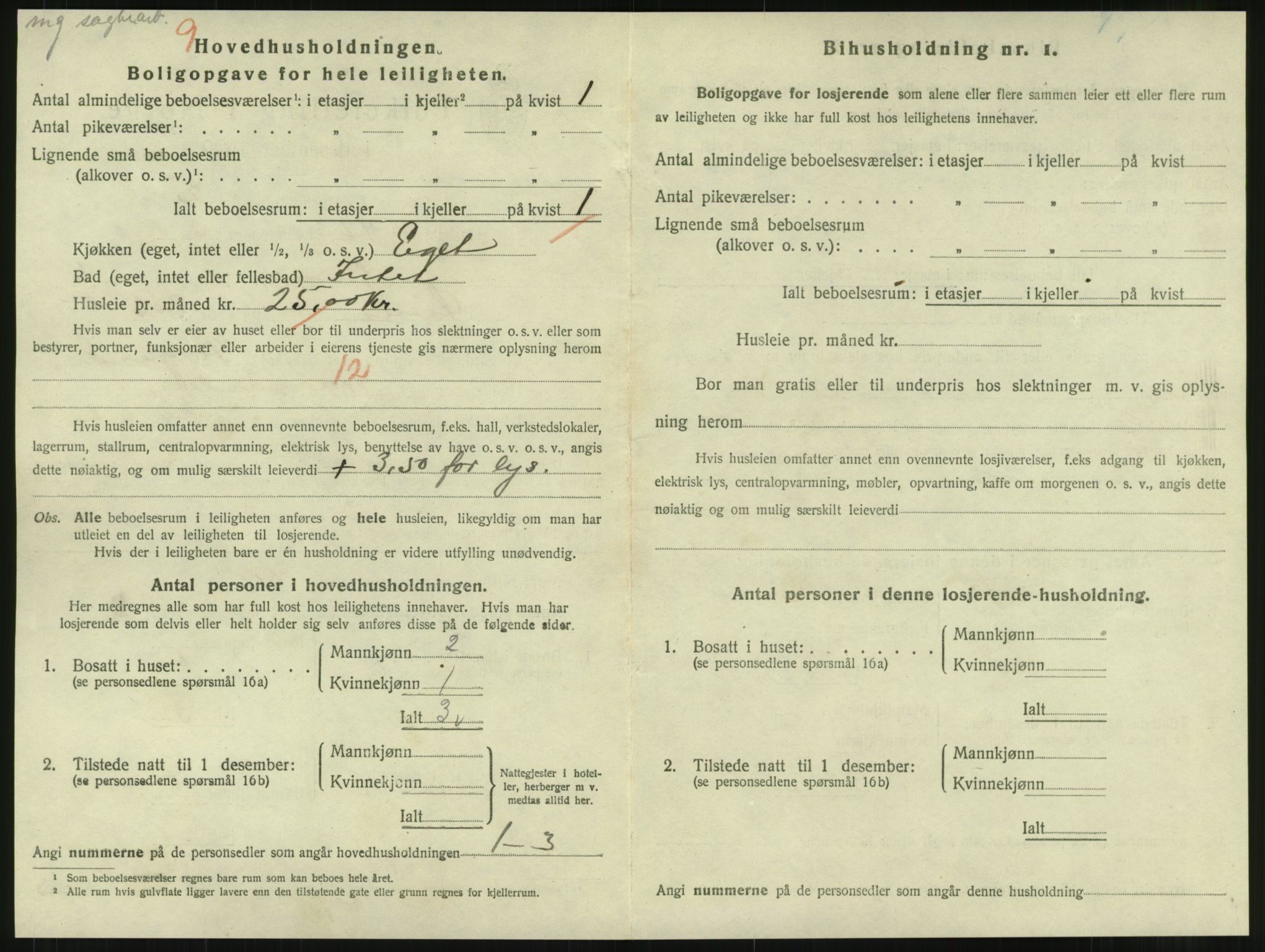 SAT, 1920 census for Namsos, 1920, p. 1958