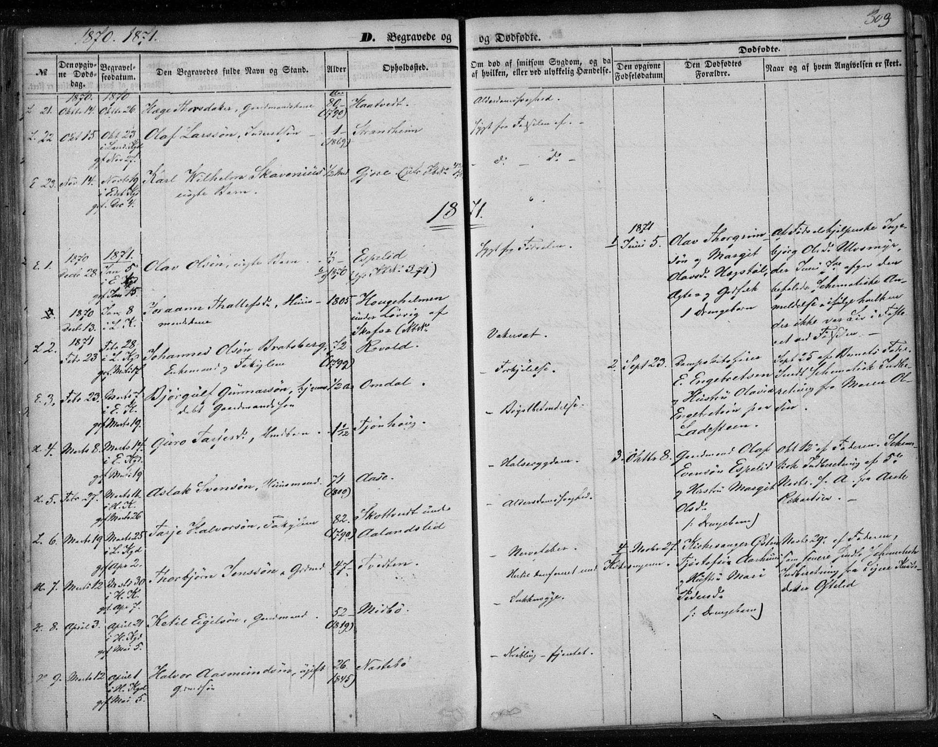 Lårdal kirkebøker, SAKO/A-284/F/Fa/L0006: Parish register (official) no. I 6, 1861-1886, p. 303