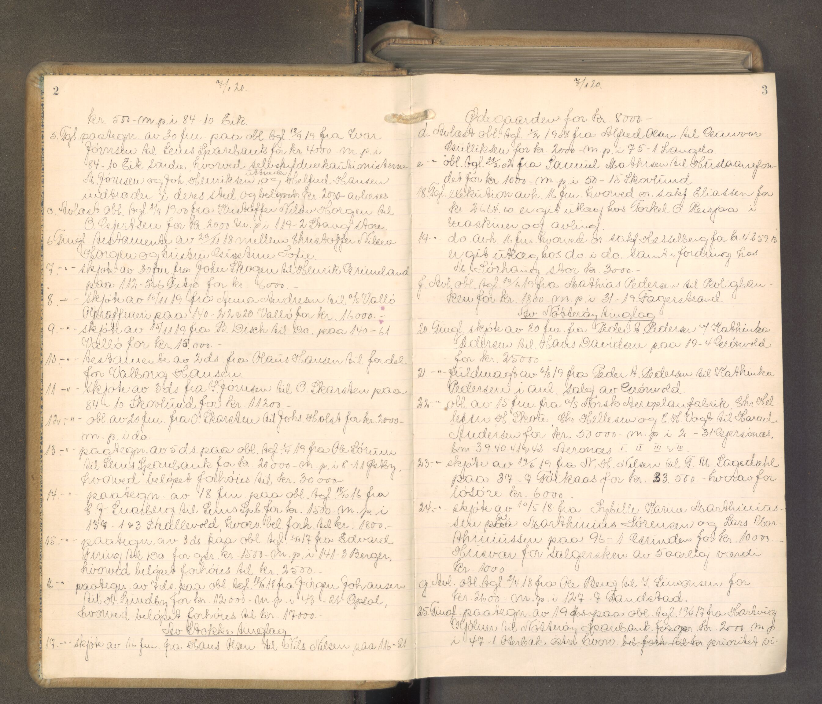 Søndre Jarlsberg sorenskriveri, AV/SAKO-A-129/F/Fa/L0051: Tingbok, 1920-1922, p. 2-3